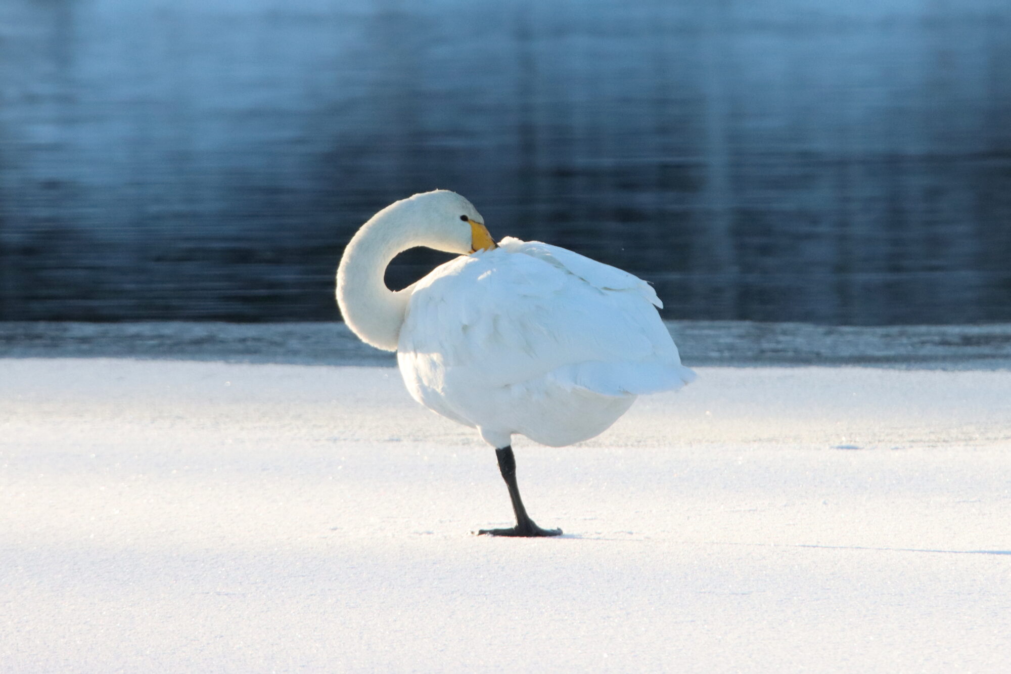 Valokuvaaja: Irja Lehtinen