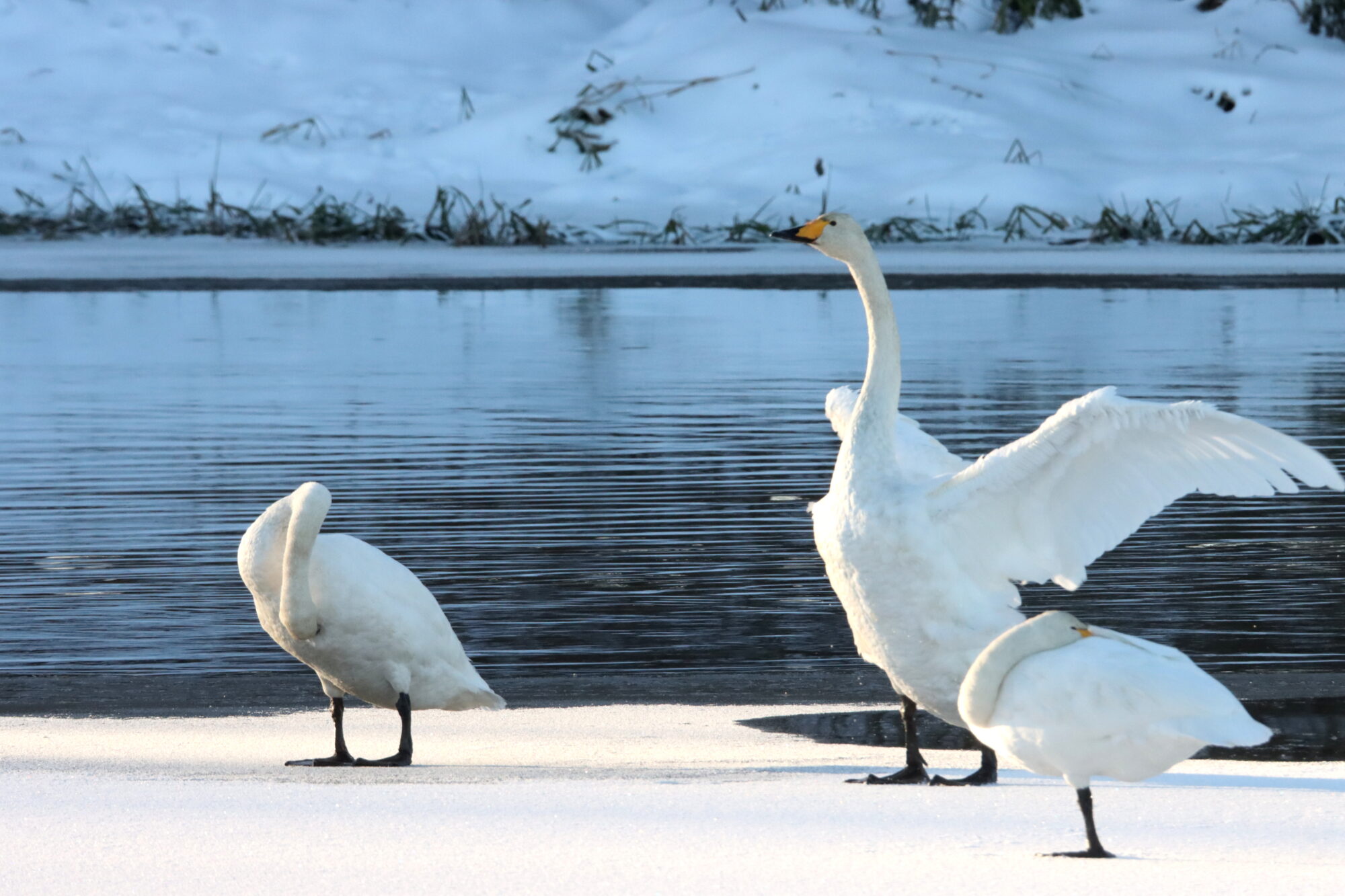 Valokuvaaja: Irja Lehtinen