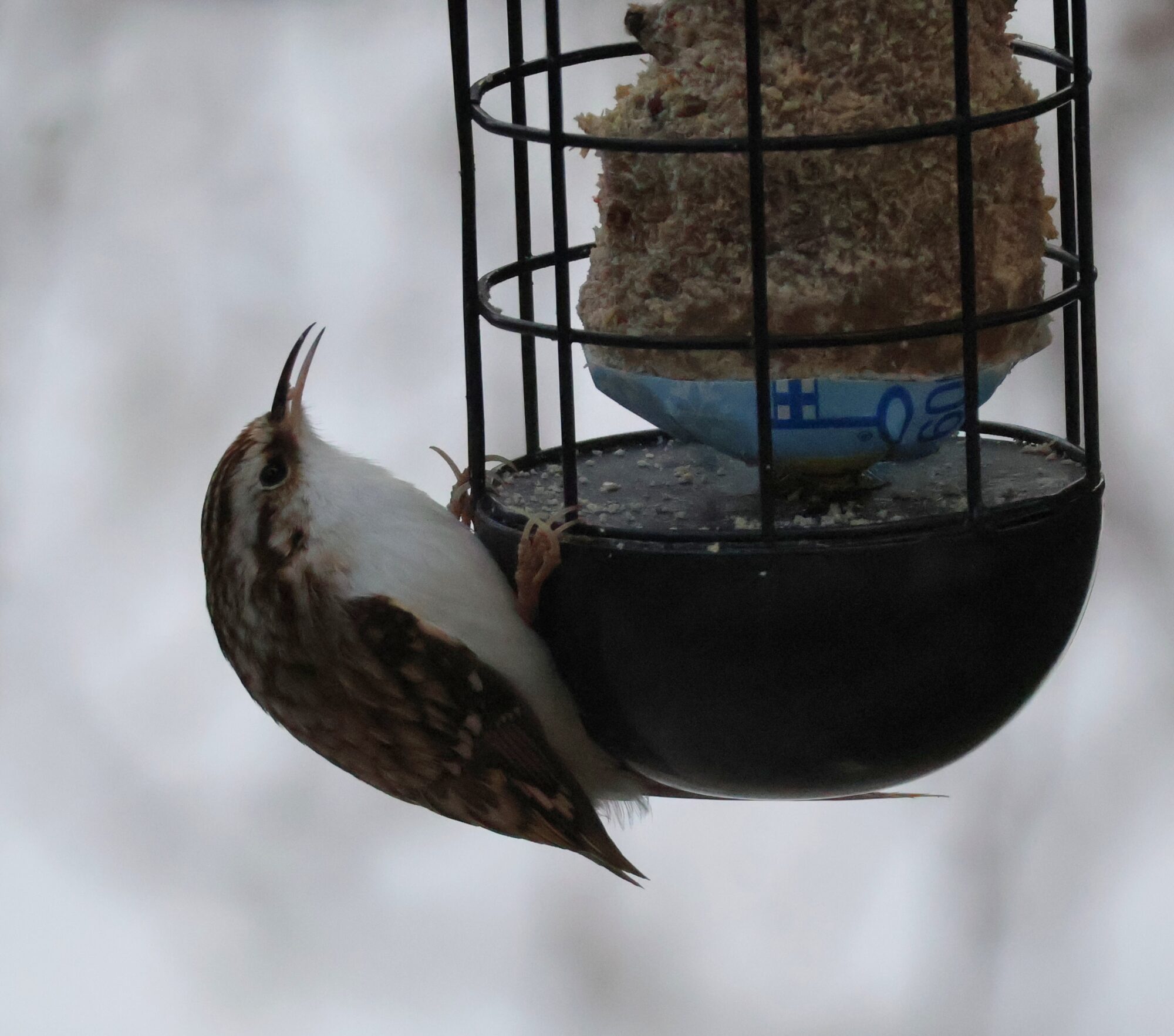 Valokuvaaja: Hanna Rönty