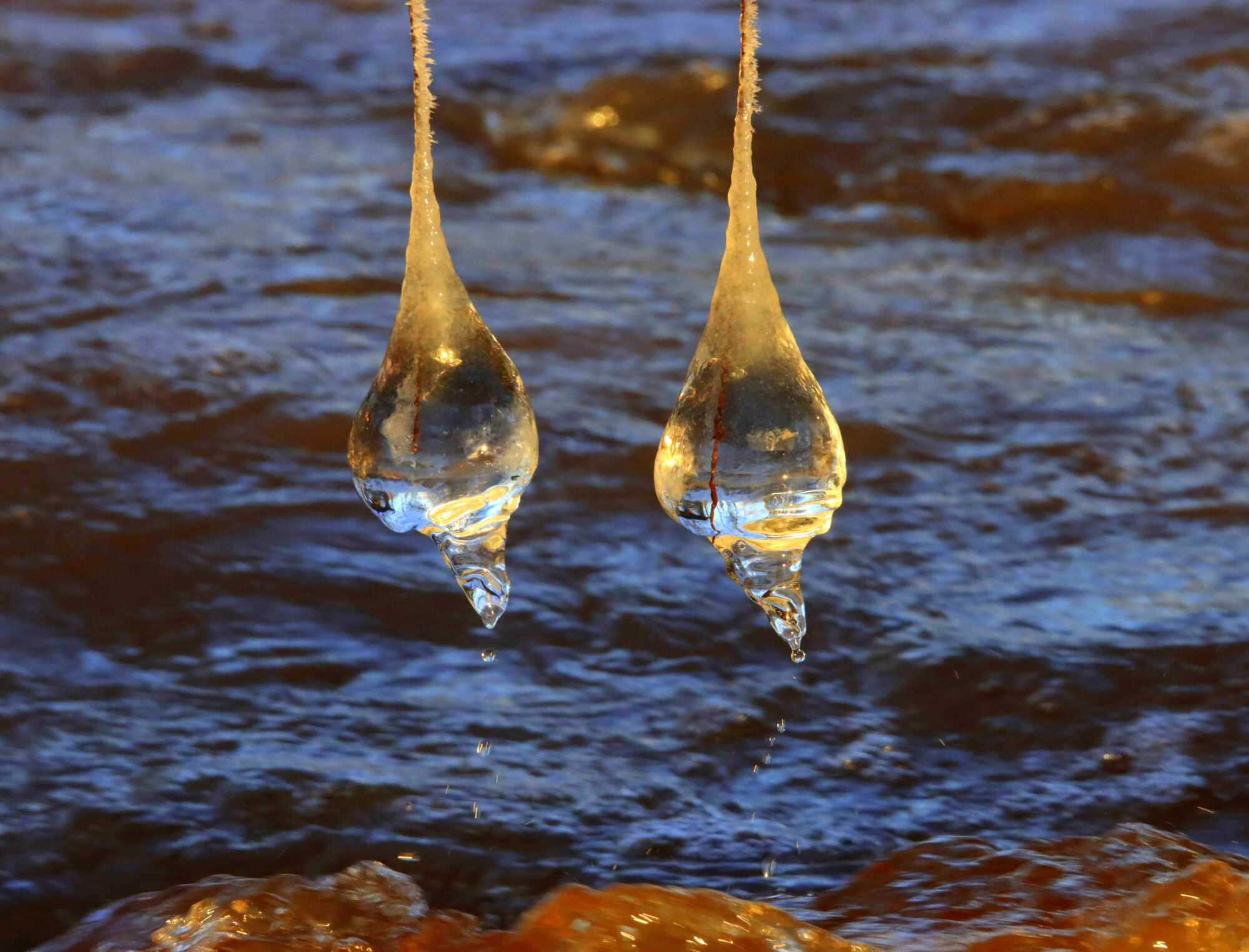 Valokuvaaja: Irja Lehtinen