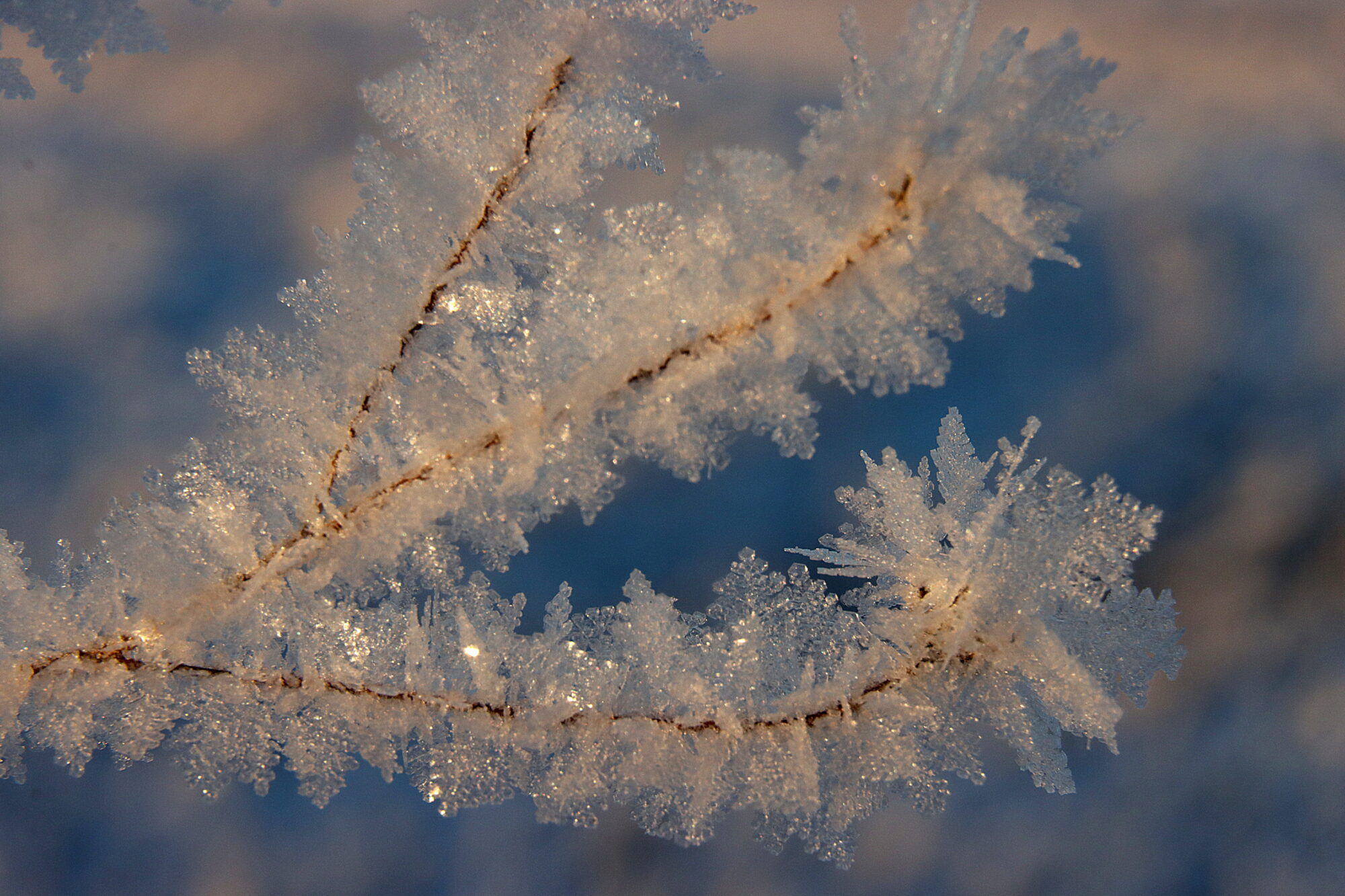 Valokuvaaja: Irja Lehtinen