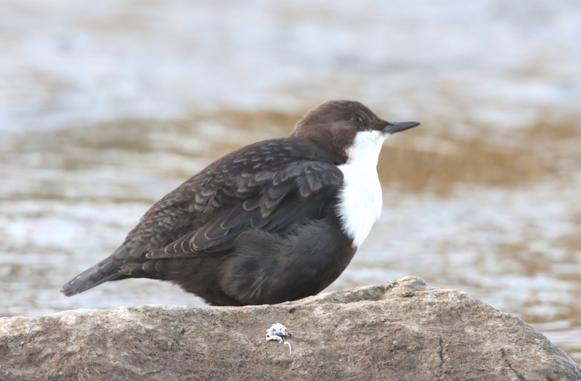 Valokuvaaja: Irja Lehtinen