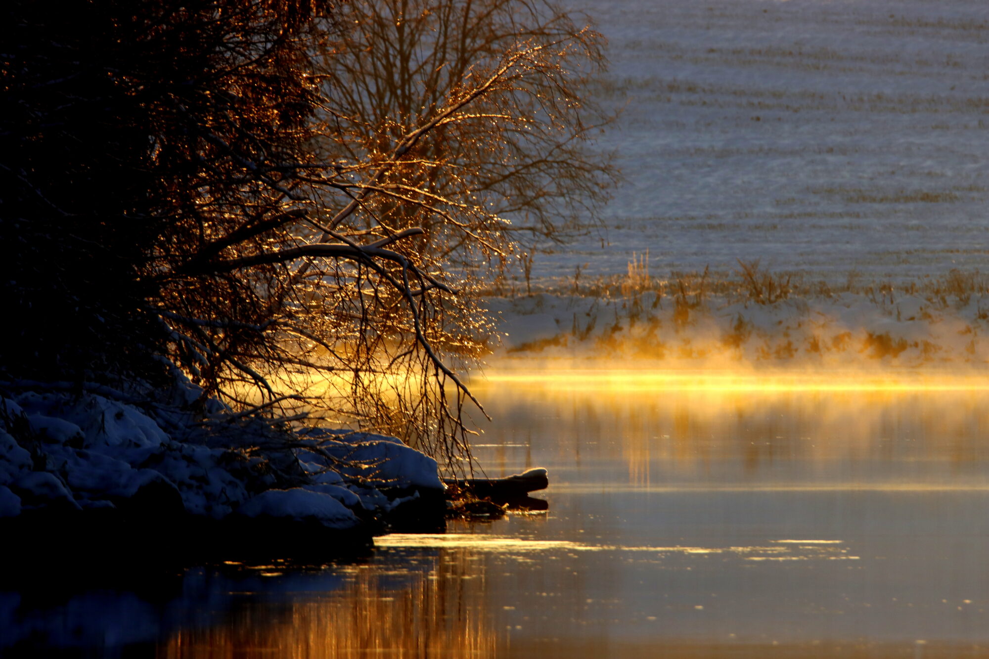 Valokuvaaja: Irja Lehtinen
