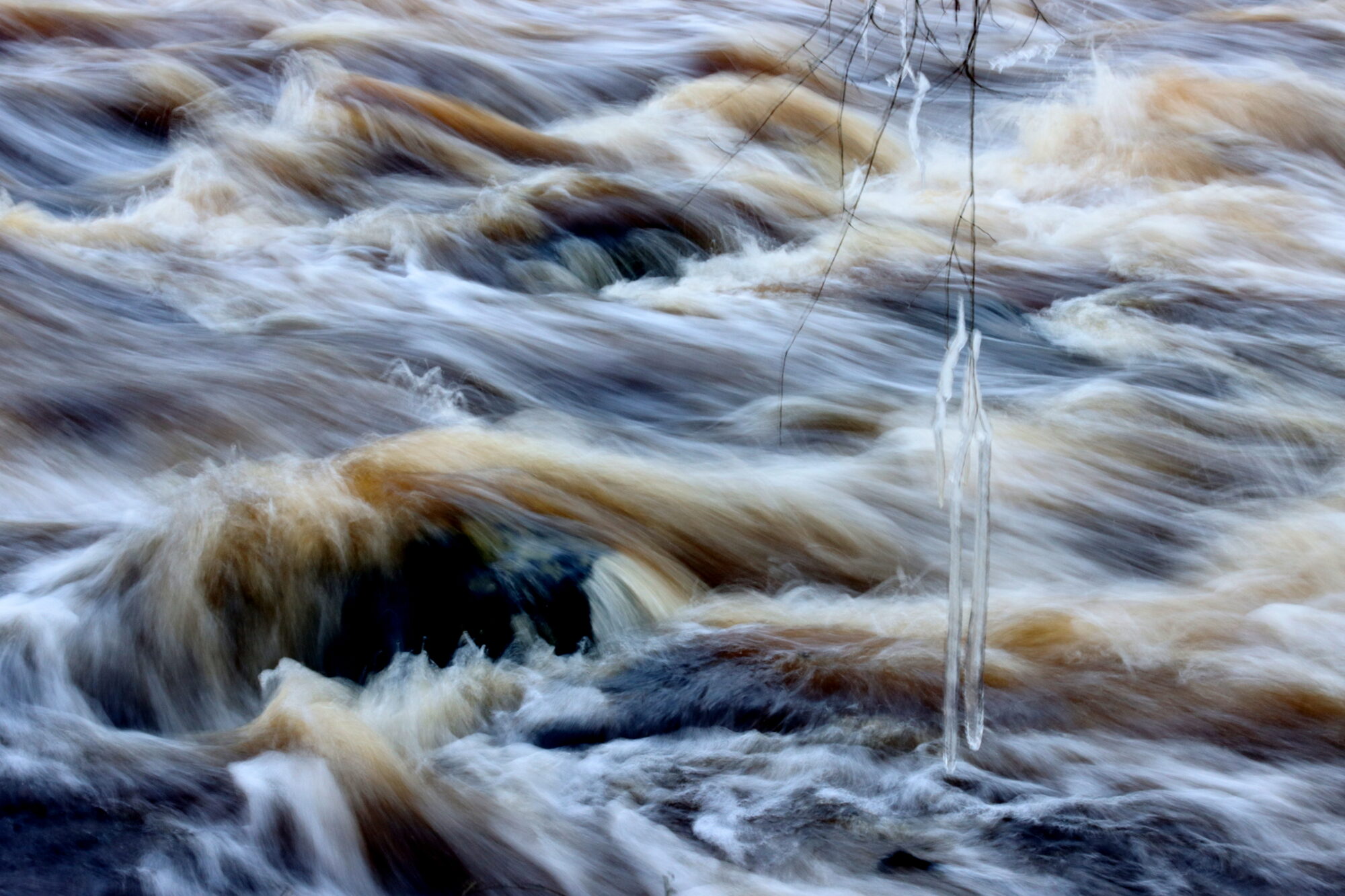 Valokuvaaja: Irja Lehtinen