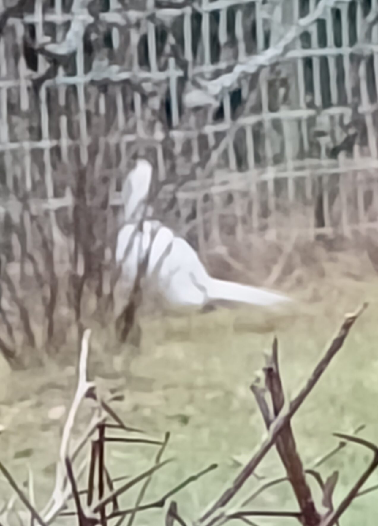 Valokuvaaja: Marjatta Hölsö