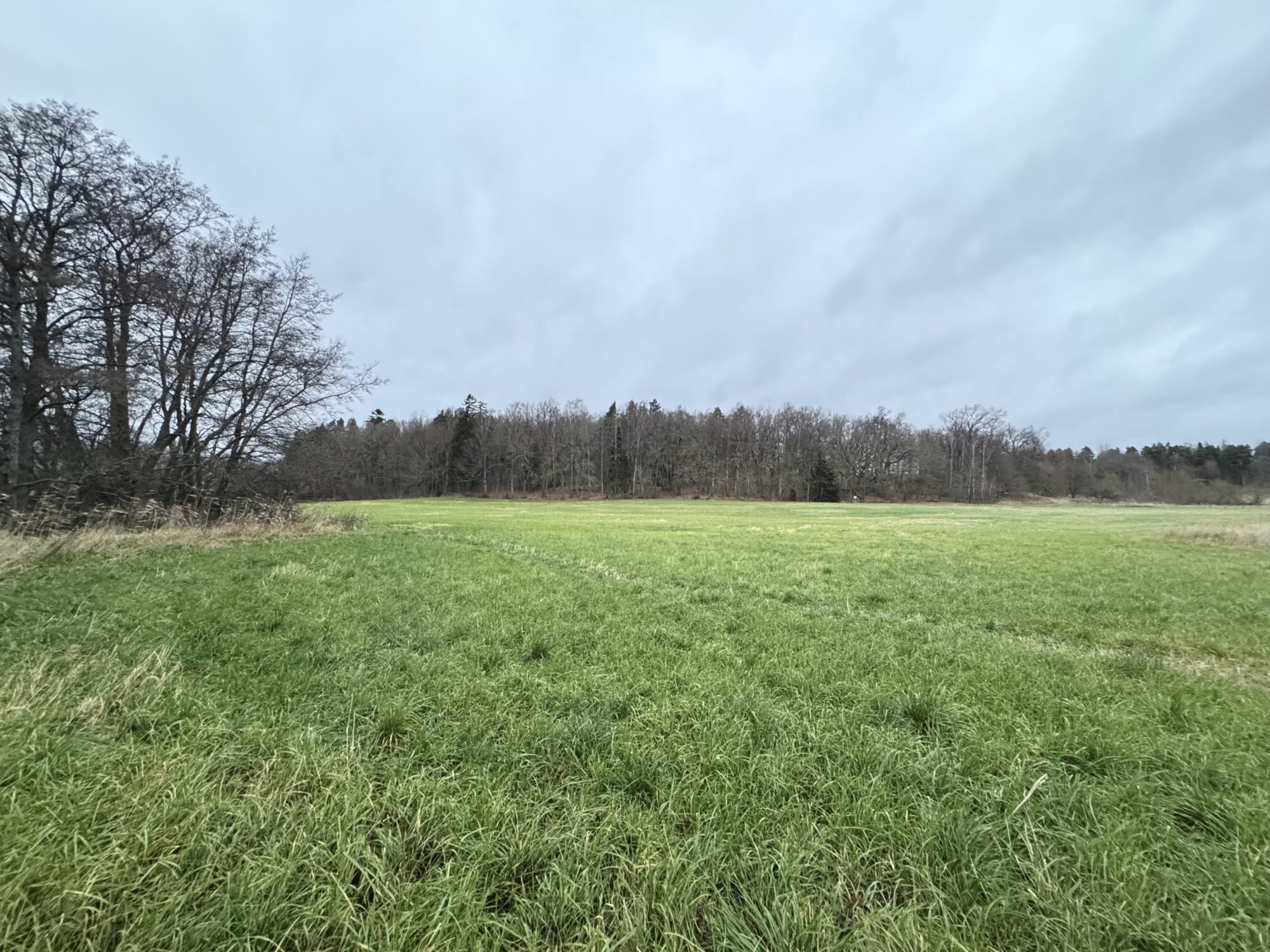 Valokuvaaja: Juhani Peltonen