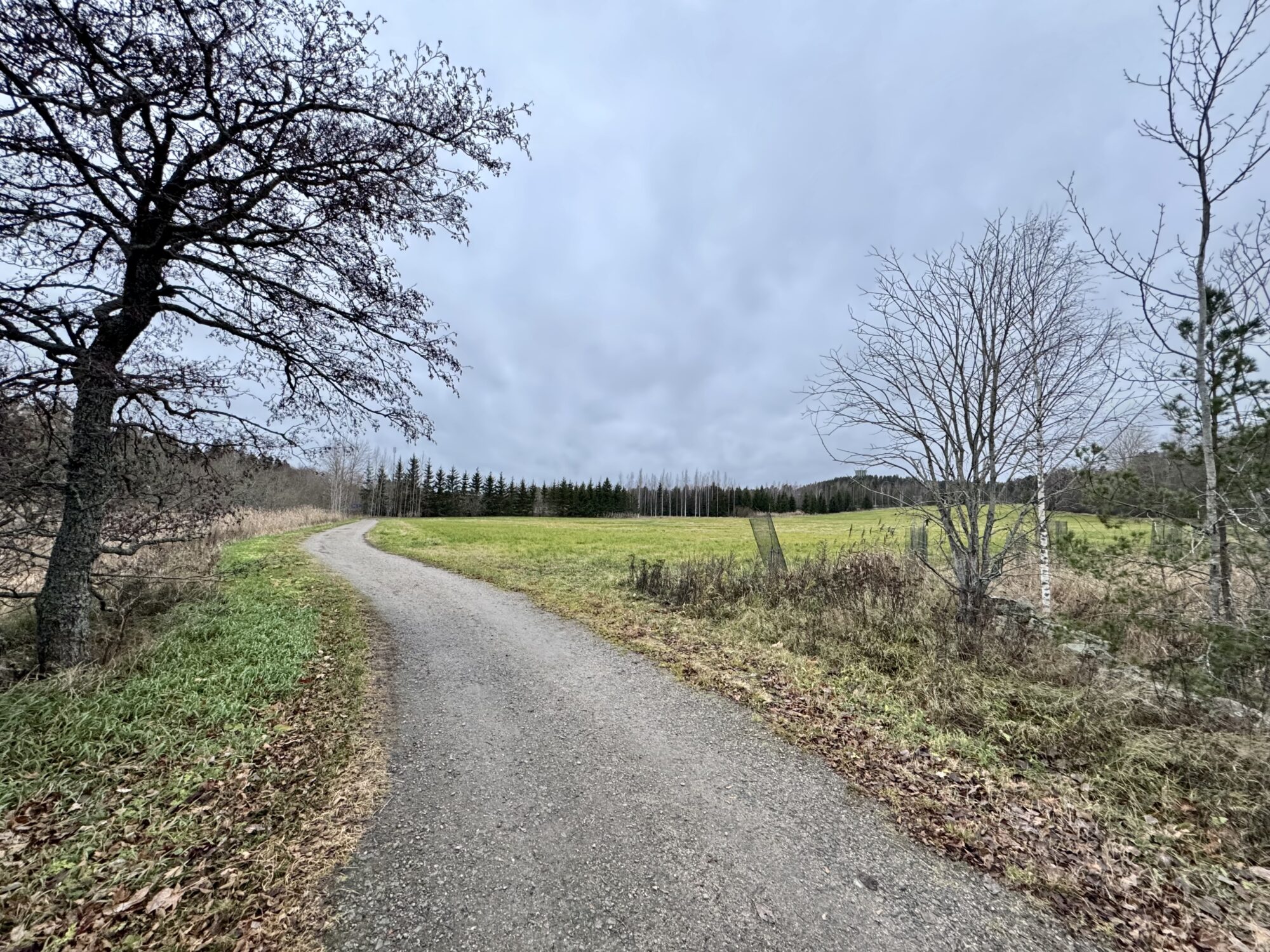 Valokuvaaja: Juhani Peltonen