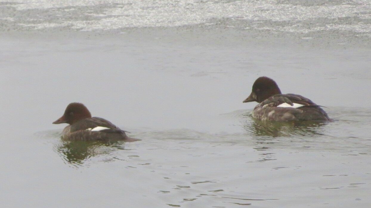 Valokuvaaja: Risto Kangassalo