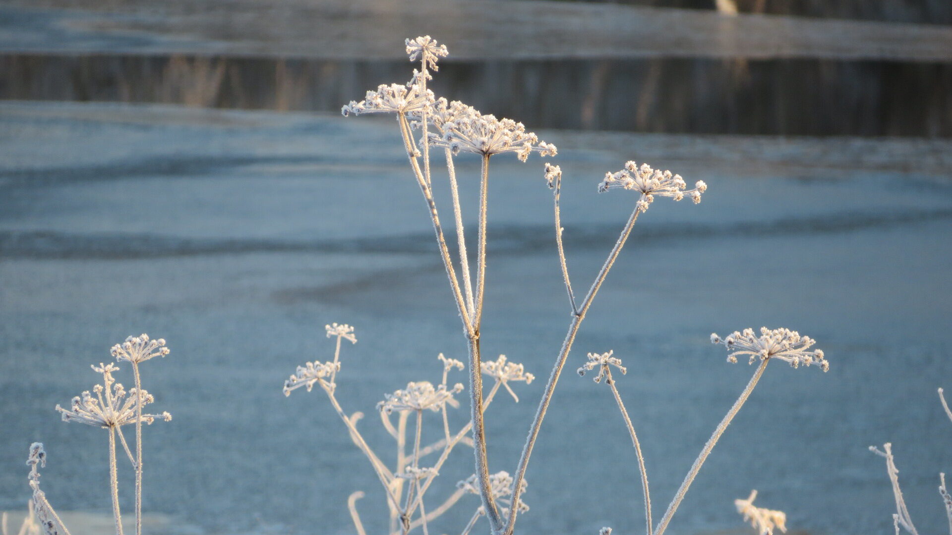 Valokuvaaja: Risto Kangassalo