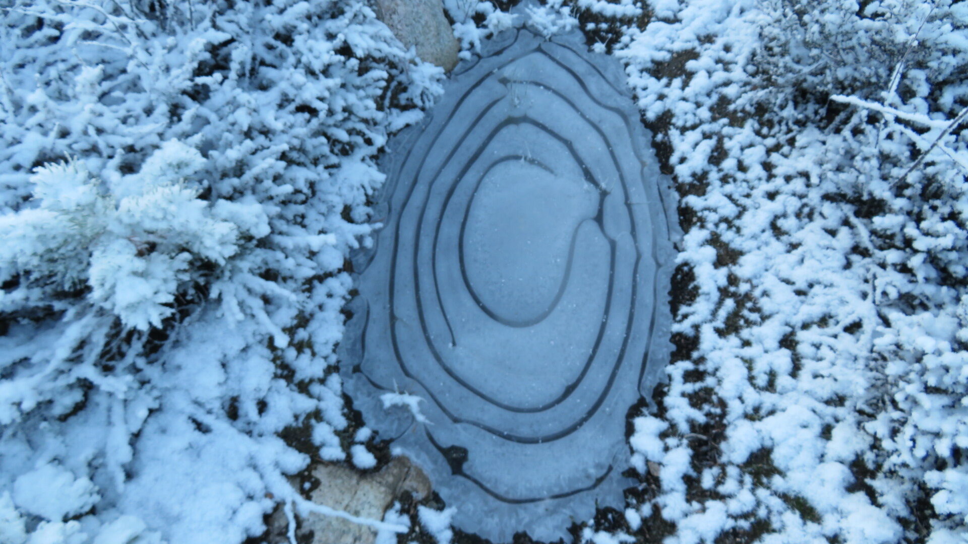 Valokuvaaja: Risto Kangassalo