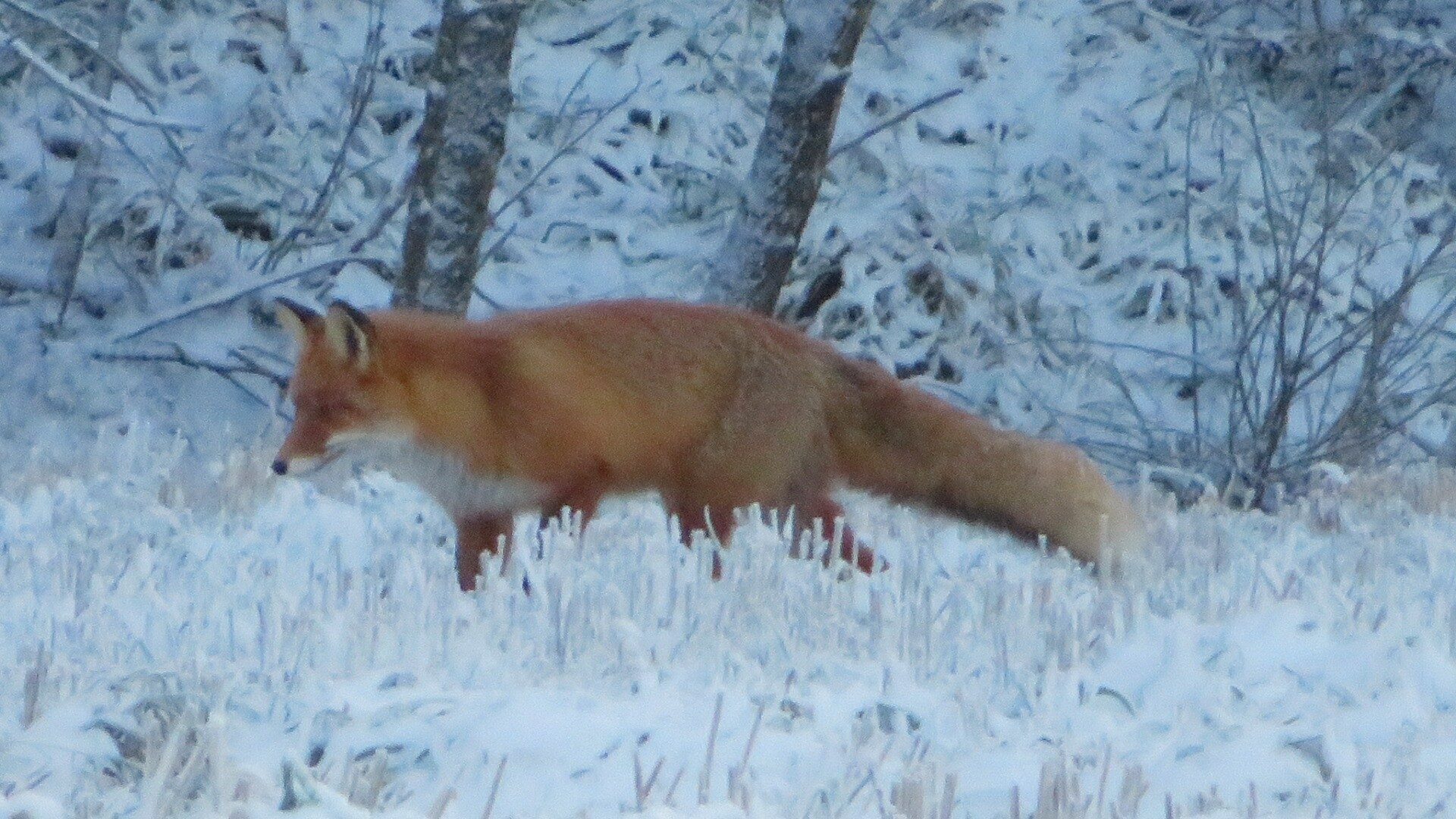 Valokuvaaja: Risto Kangassalo Valokuvaaja: Risto Kangassalo