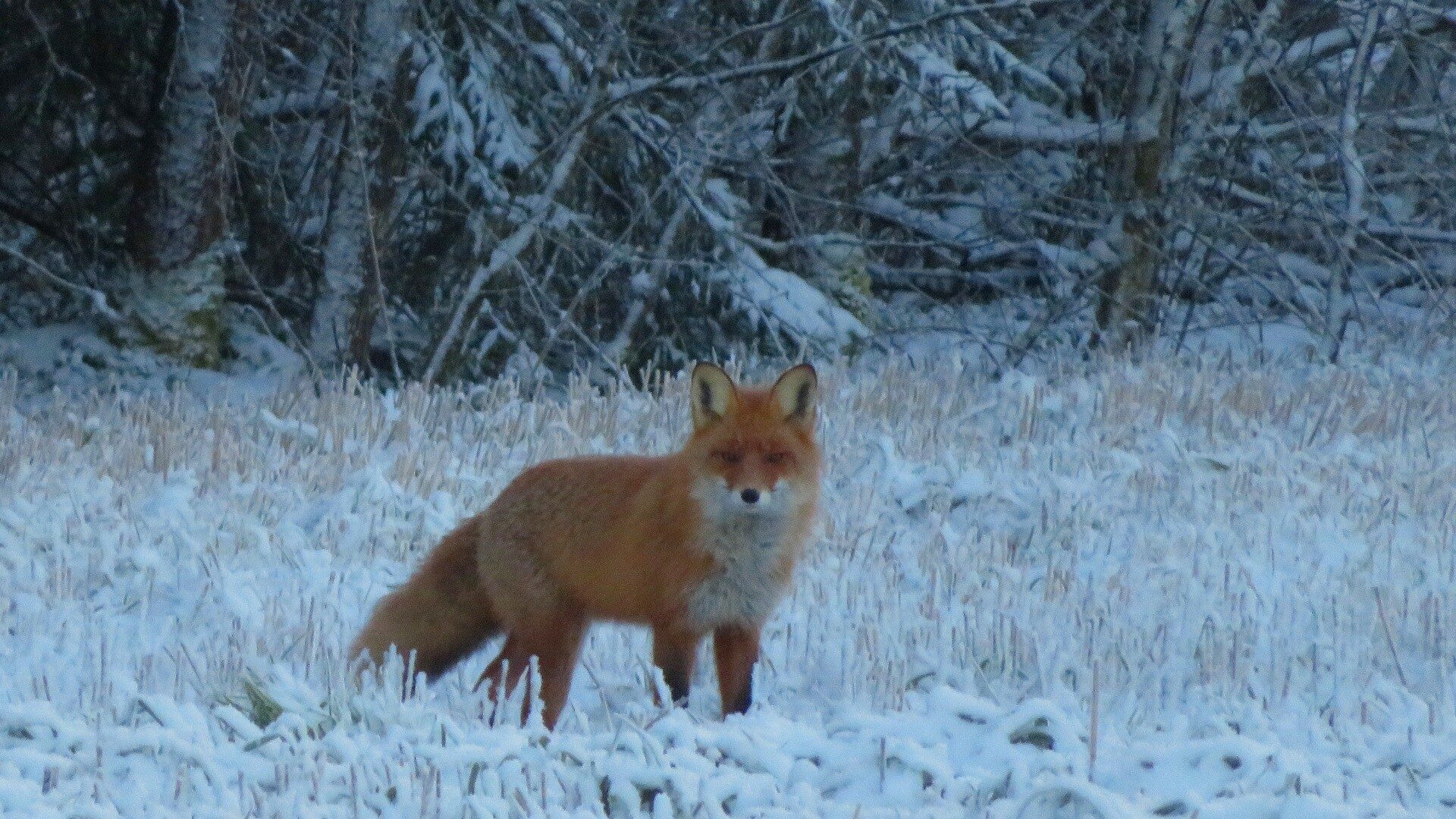 Valokuvaaja: Risto Kangassalo Valokuvaaja: Risto Kangassalo