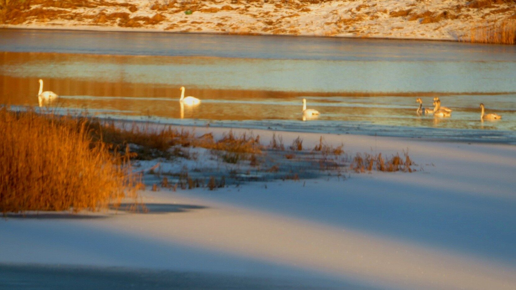 Valokuvaaja: Risto Kangassalo Valokuvaaja: Risto Kangassalo