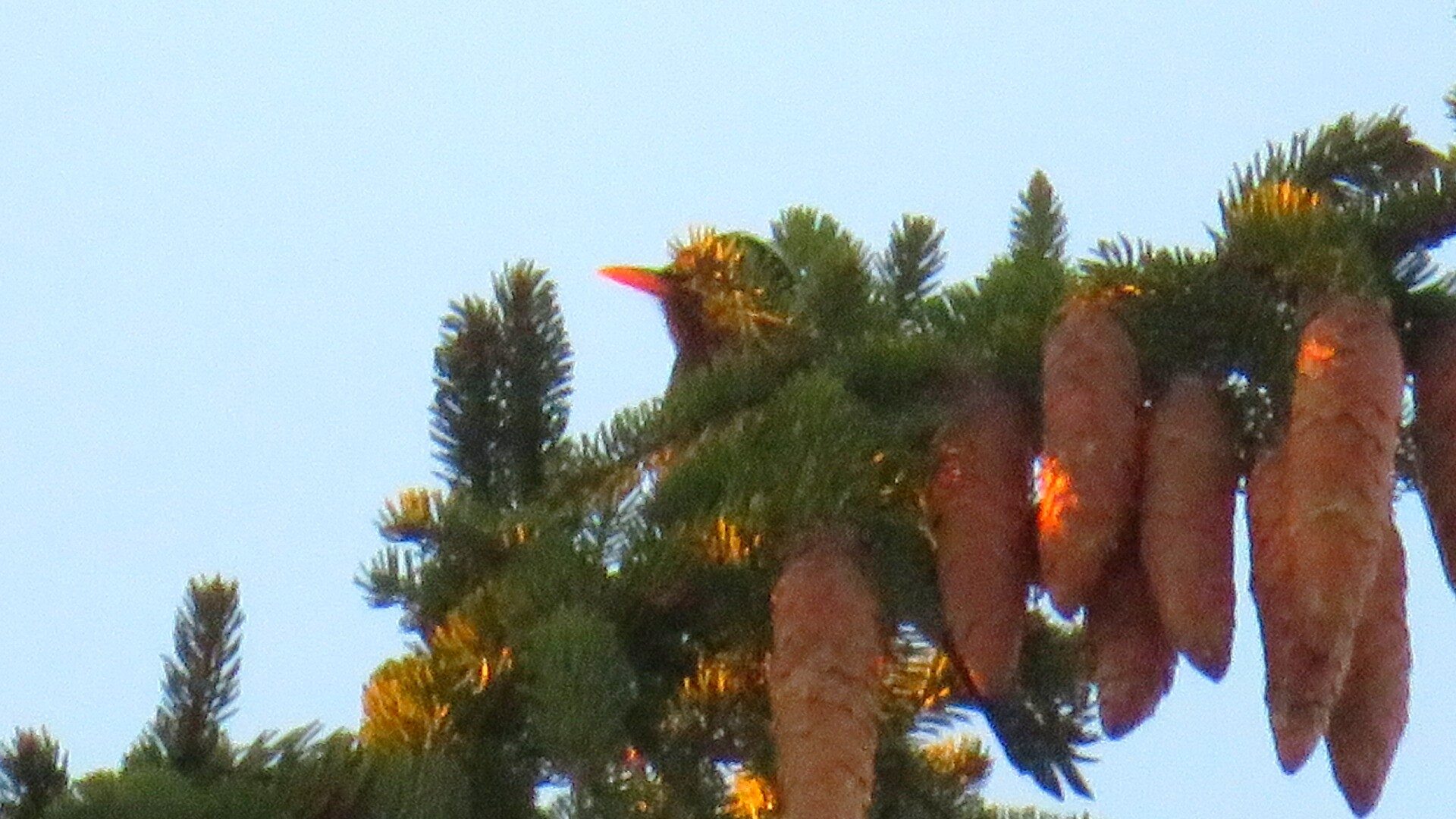 Valokuvaaja: Risto Kangassalo