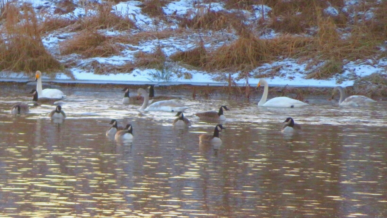Valokuvaaja: Risto Kangassalo