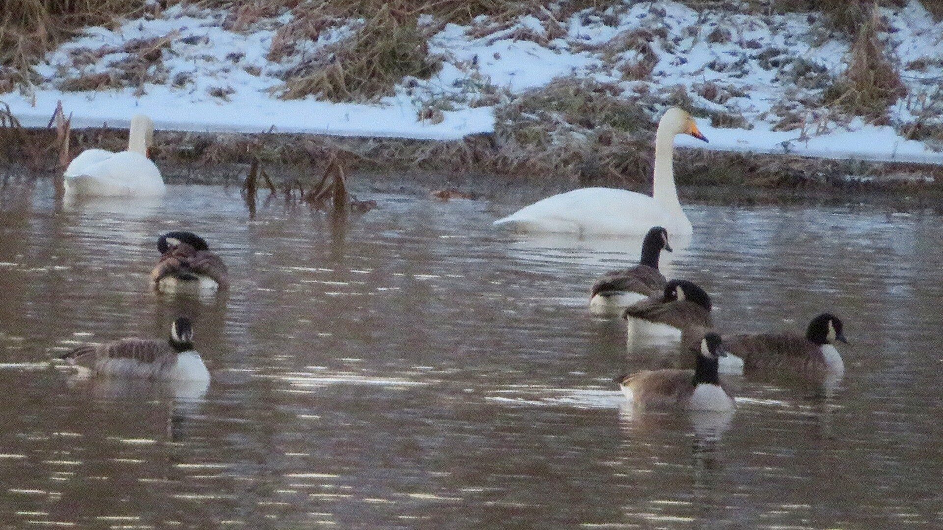 Valokuvaaja: Risto Kangassalo