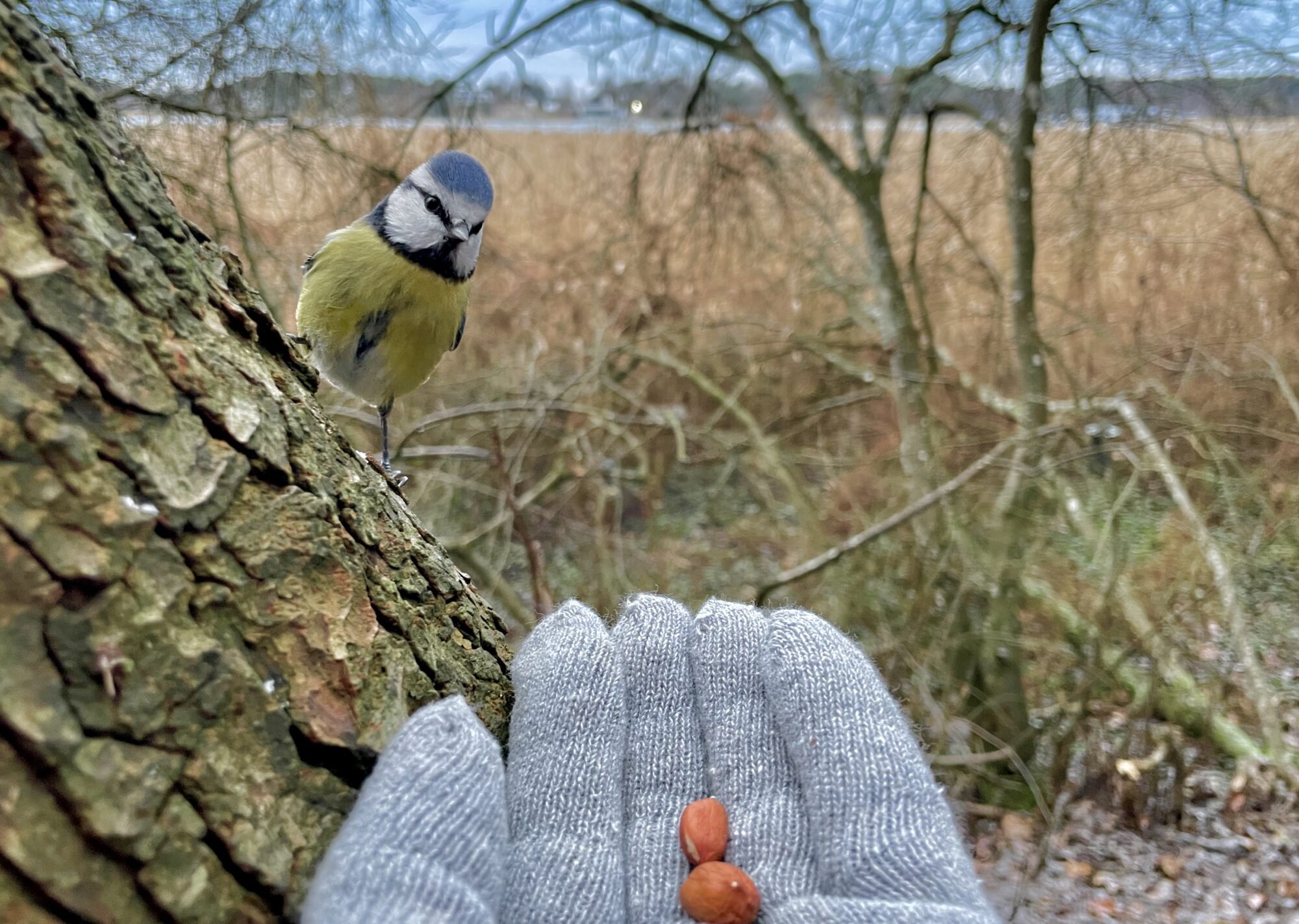 Valokuvaaja: Juhani Peltonen