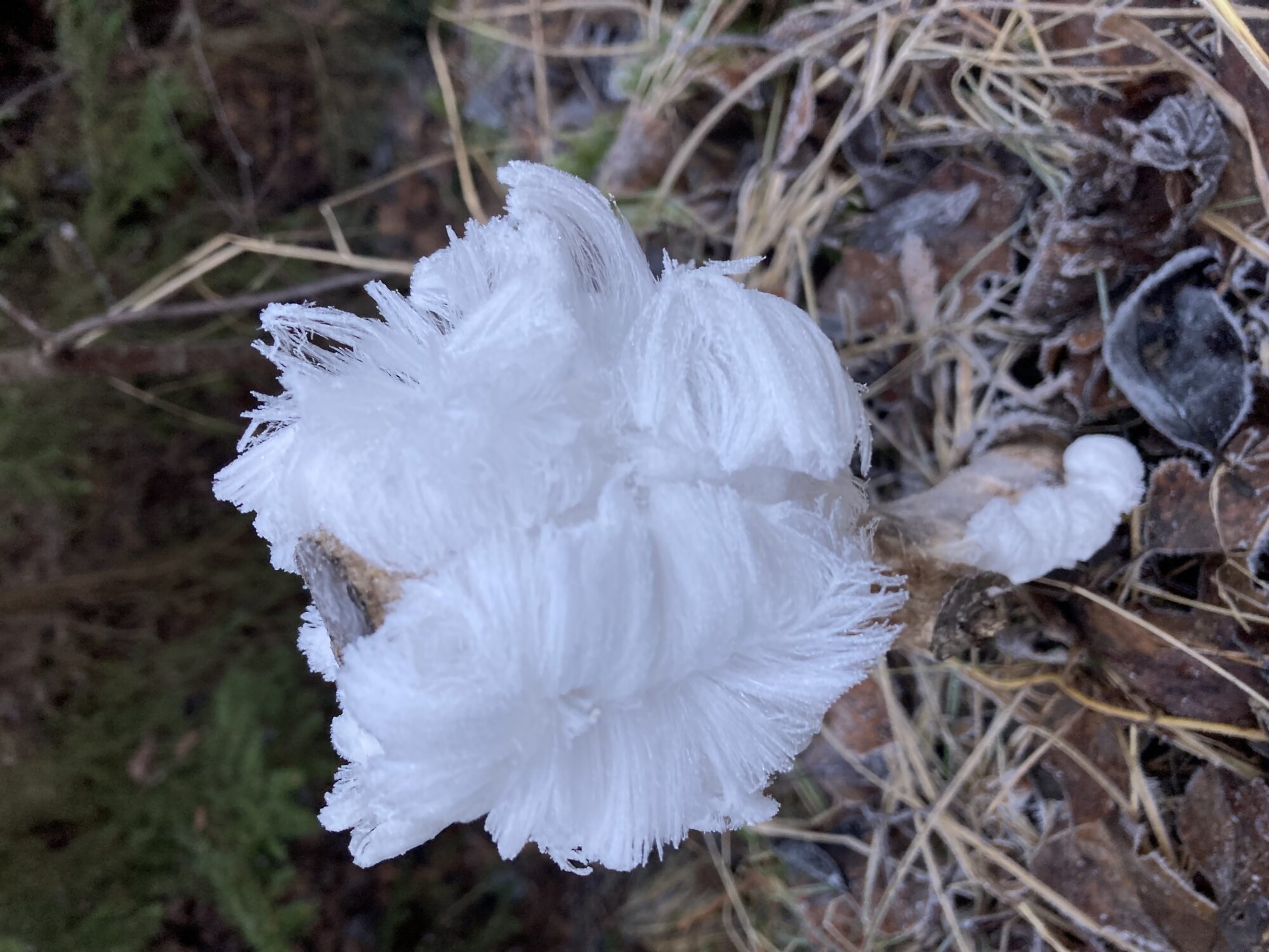 Valokuvaaja: Virpi Kraft