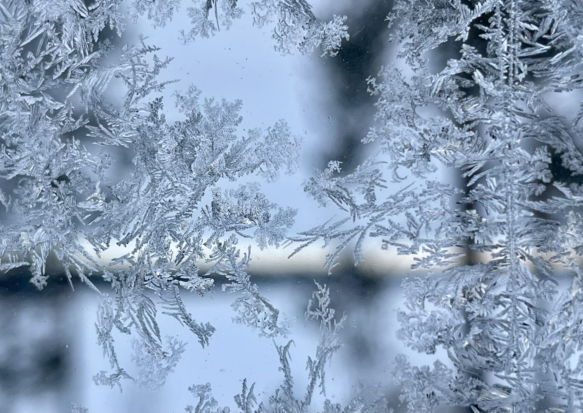 Valokuvaaja: Liisa Niiva-Korpela Valokuvaaja: Liisa Niiva-Korpela