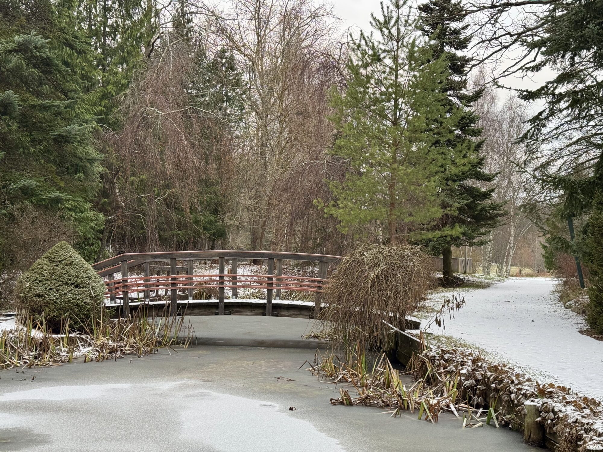 Valokuvaaja: Juhani Peltonen