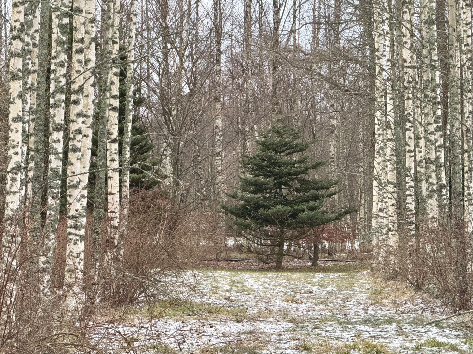 Valokuvaaja: Juhani Peltonen