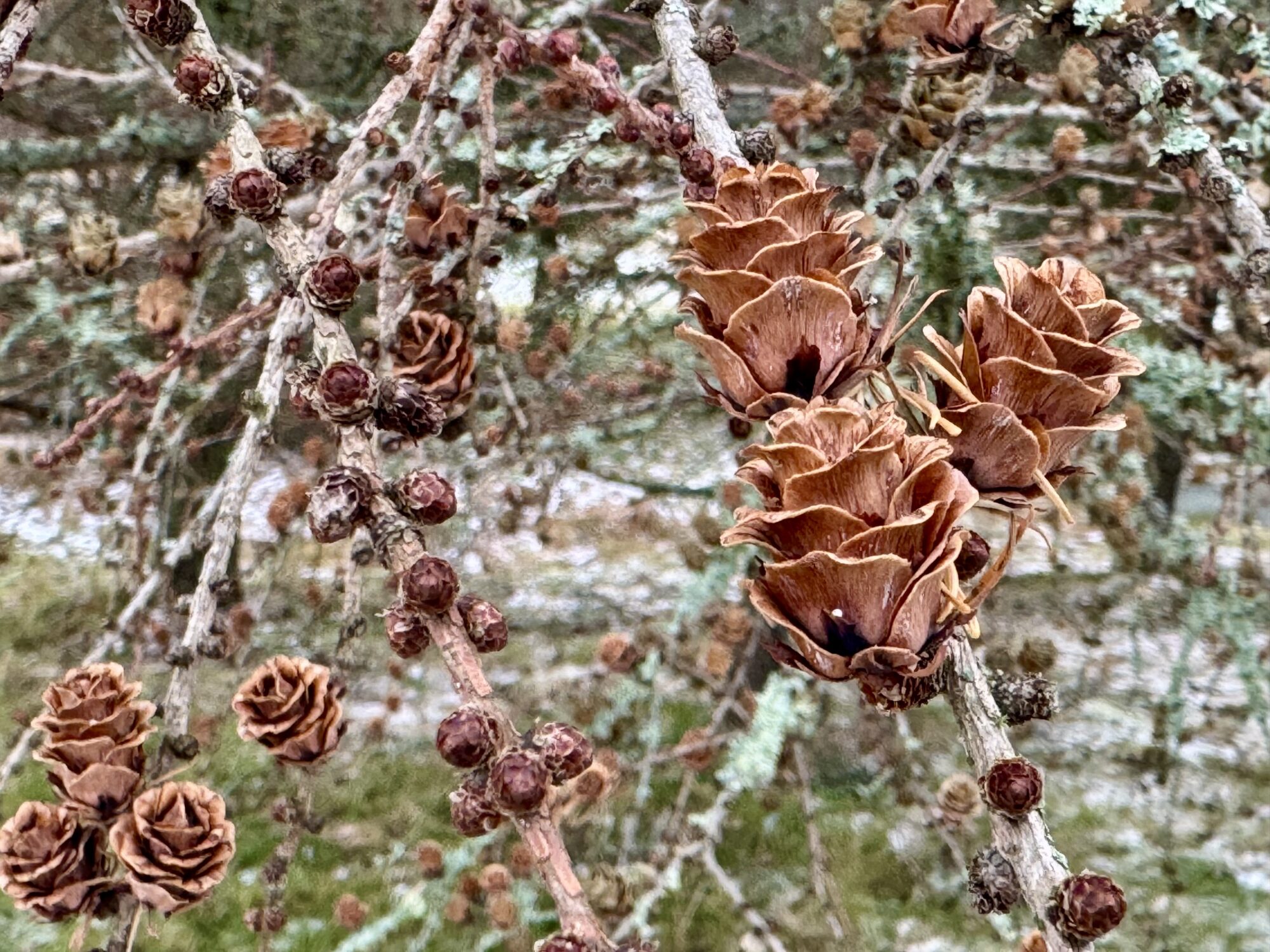 Valokuvaaja: Juhani Peltonen