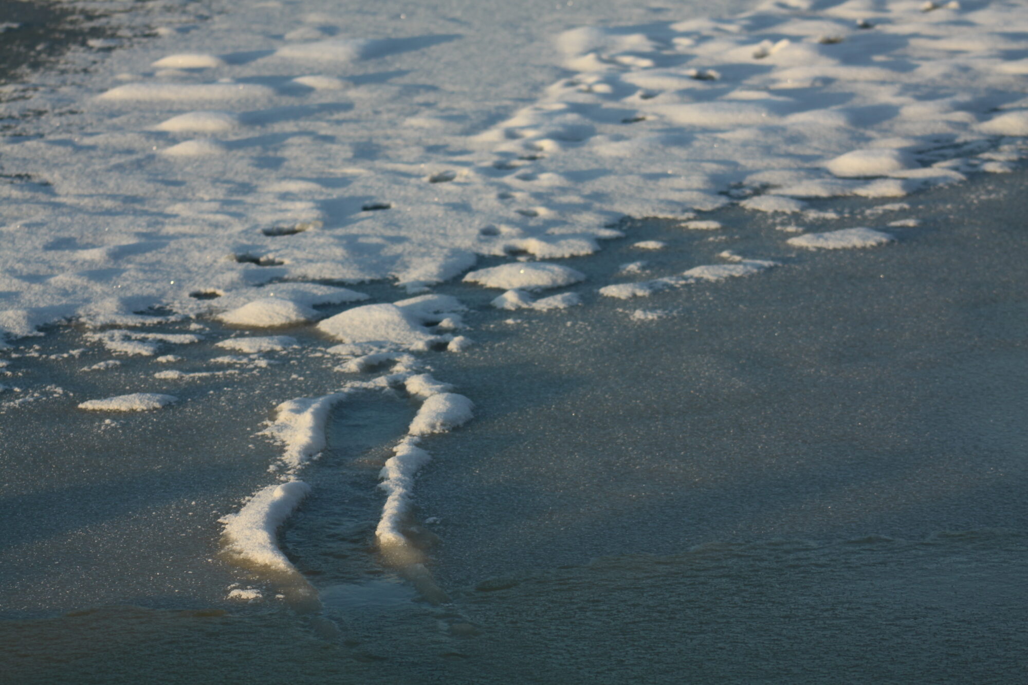 Valokuvaaja: Pirkko Siukonen