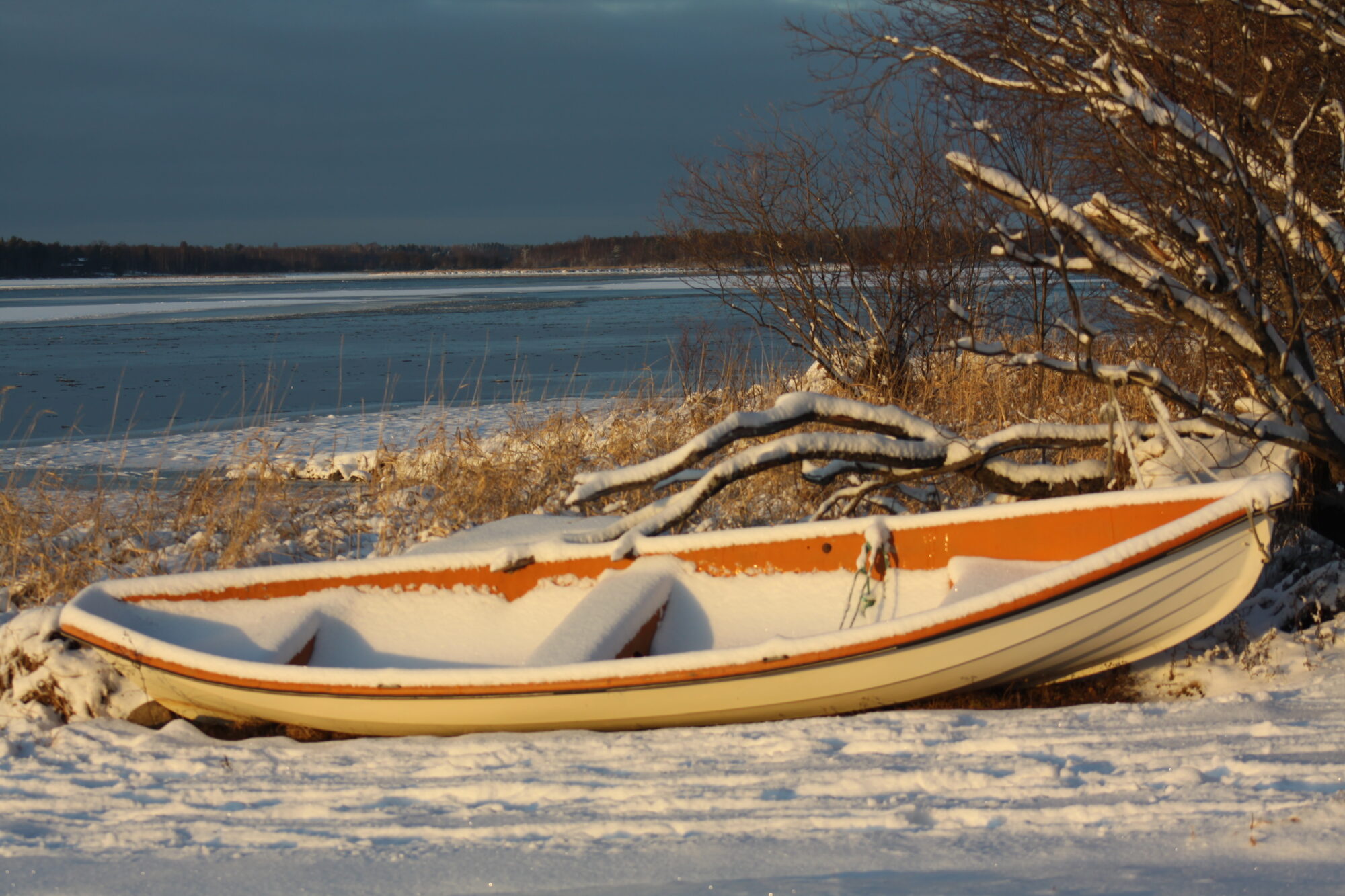 Valokuvaaja: Pirkko Siukonen