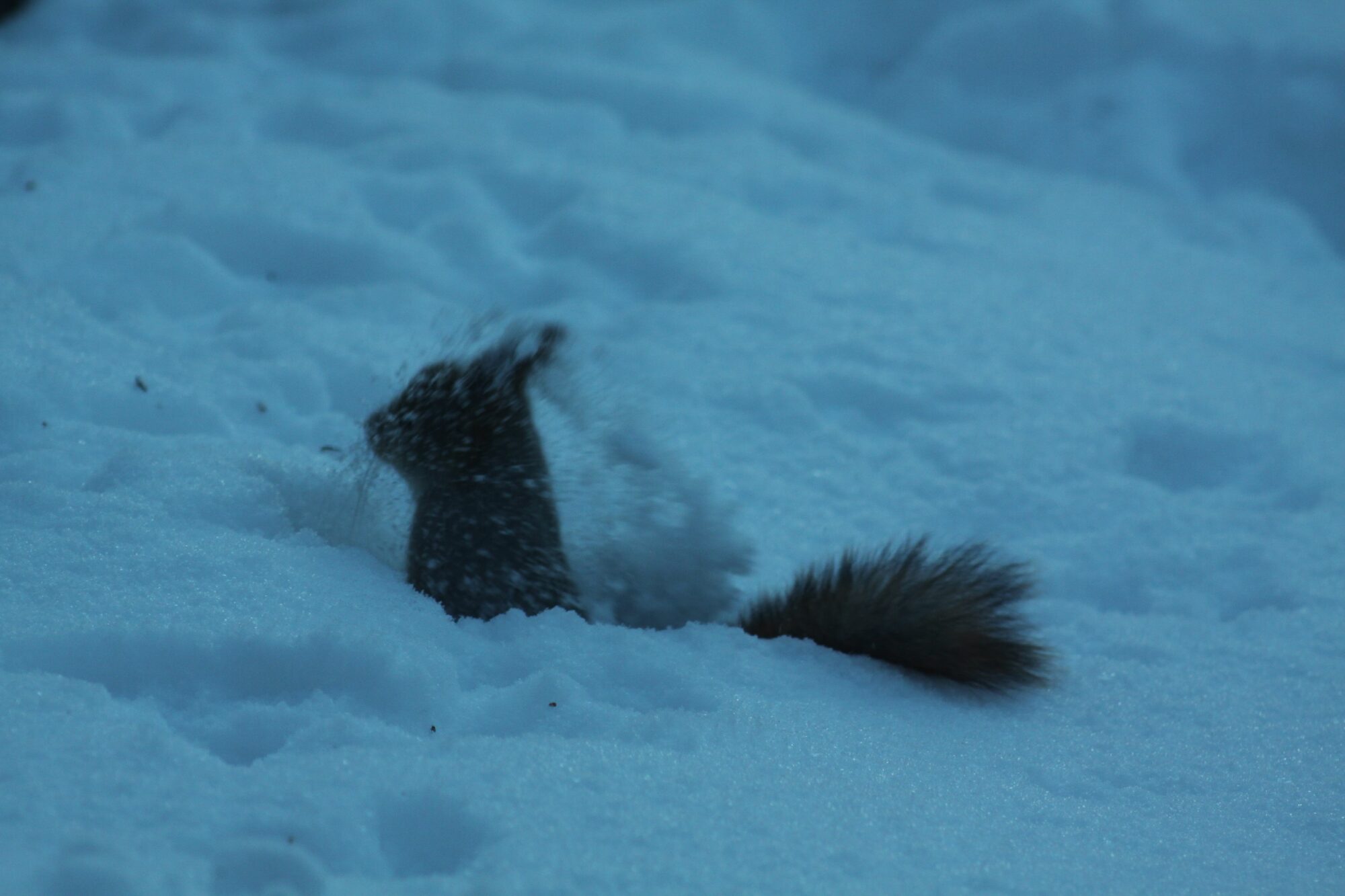 Valokuvaaja: Pirkko Siukonen