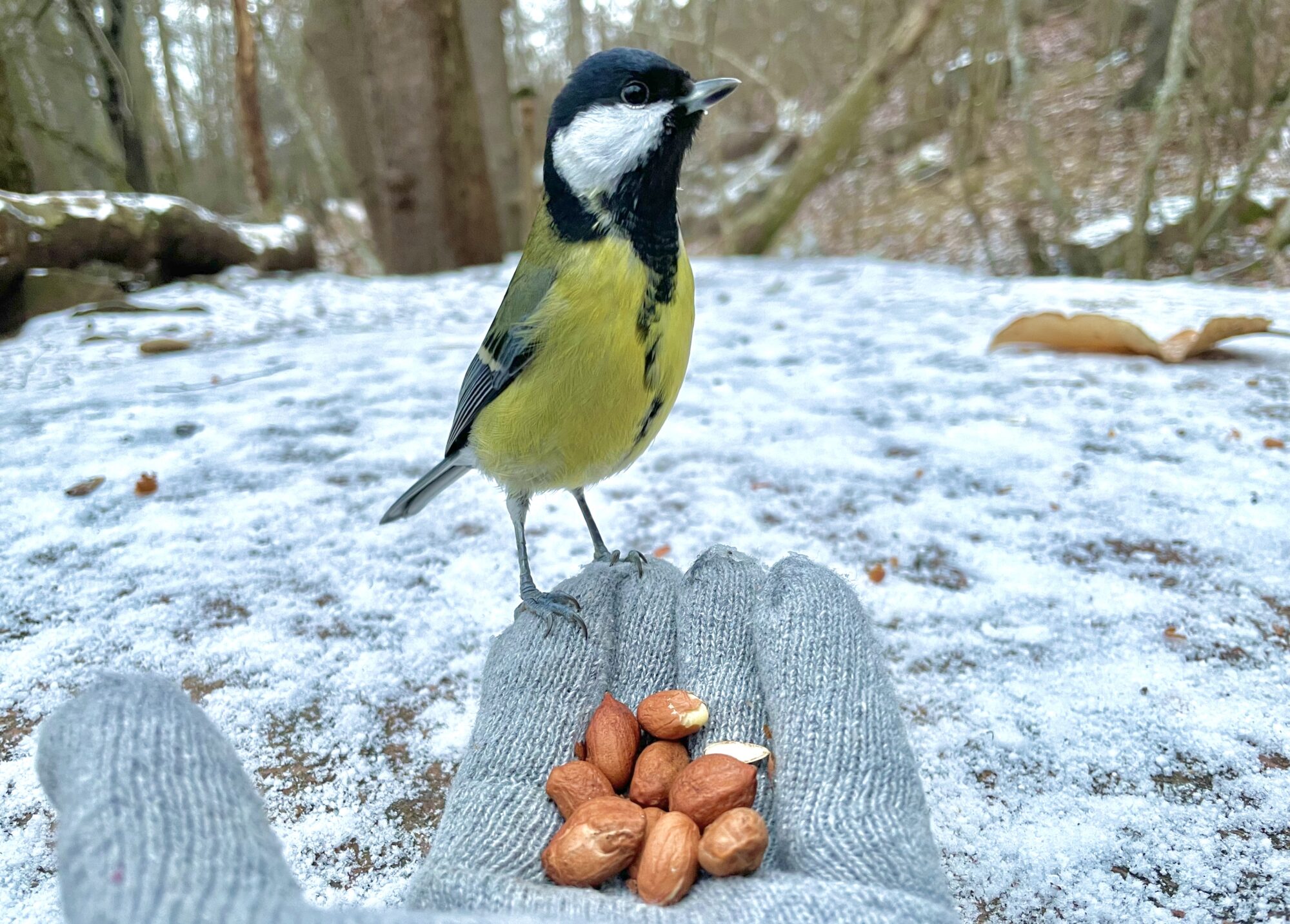 Valokuvaaja: Juhani Peltonen
