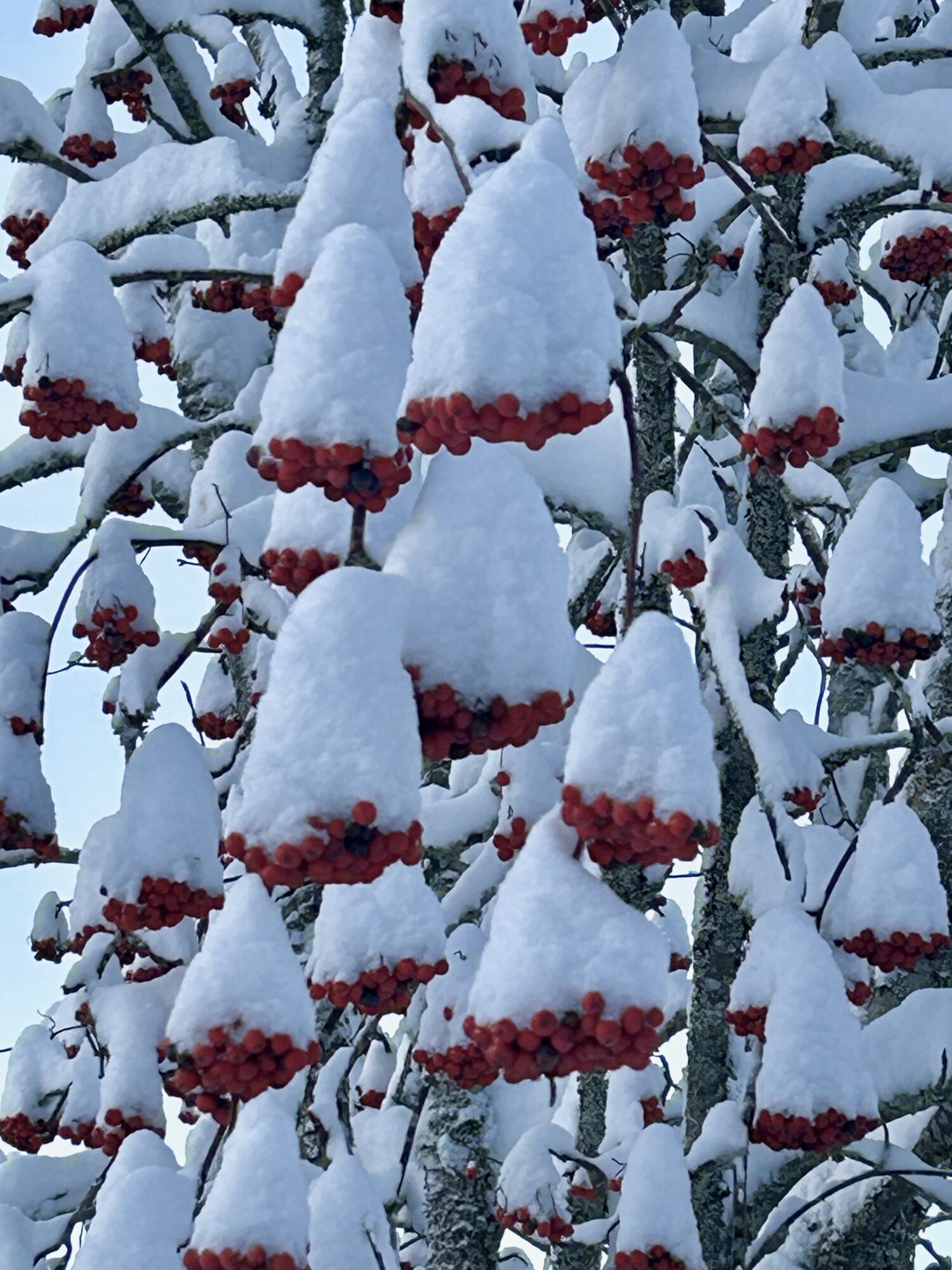 Valokuvaaja: Tapio Keinonen