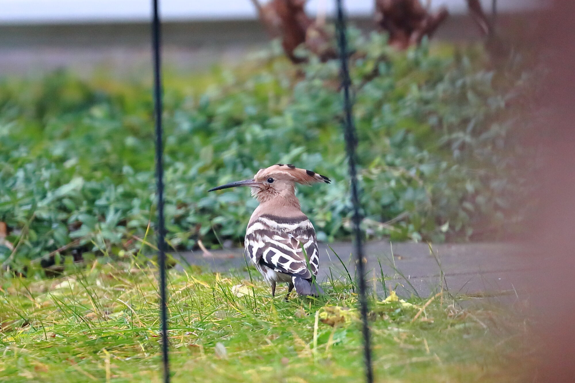 Valokuvaaja: Lasse Kokko Valokuvaaja: Lasse Kokko
