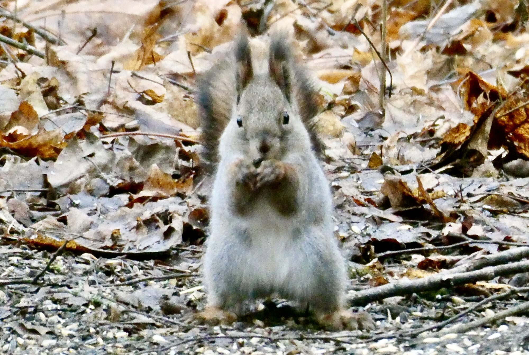 Valokuvaaja: Liisa Niiva-Korpela