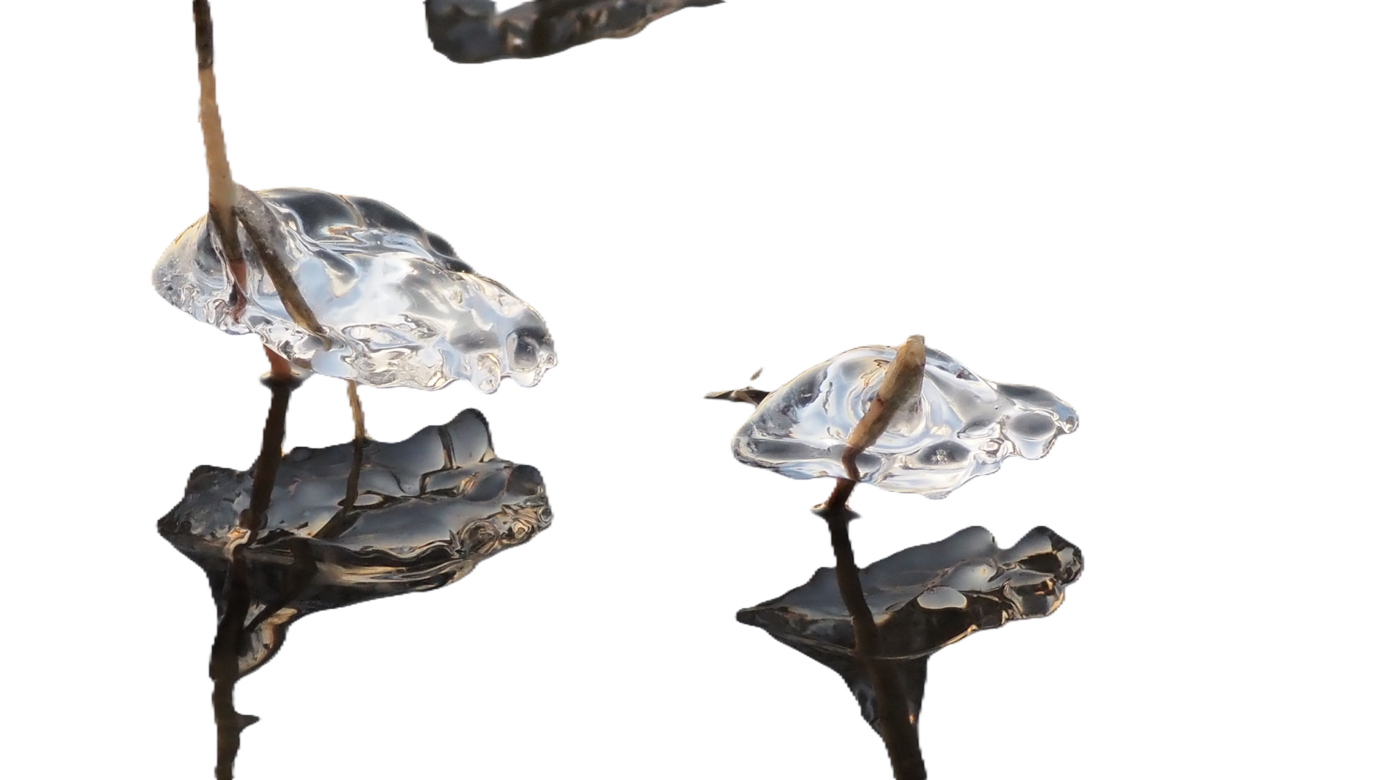 Valokuvaaja: Arja Valtonen