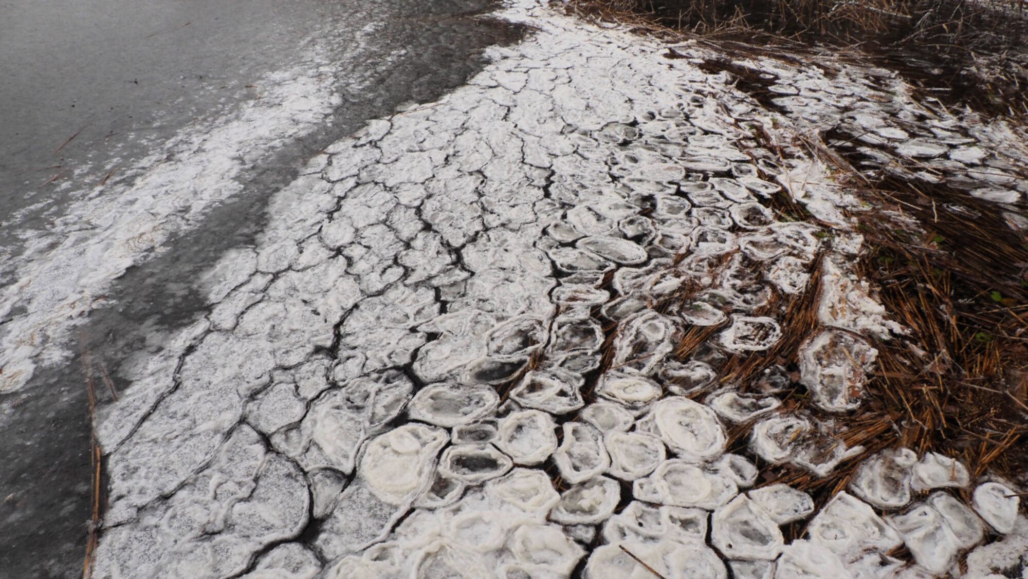 Valokuvaaja: Arja Valtonen