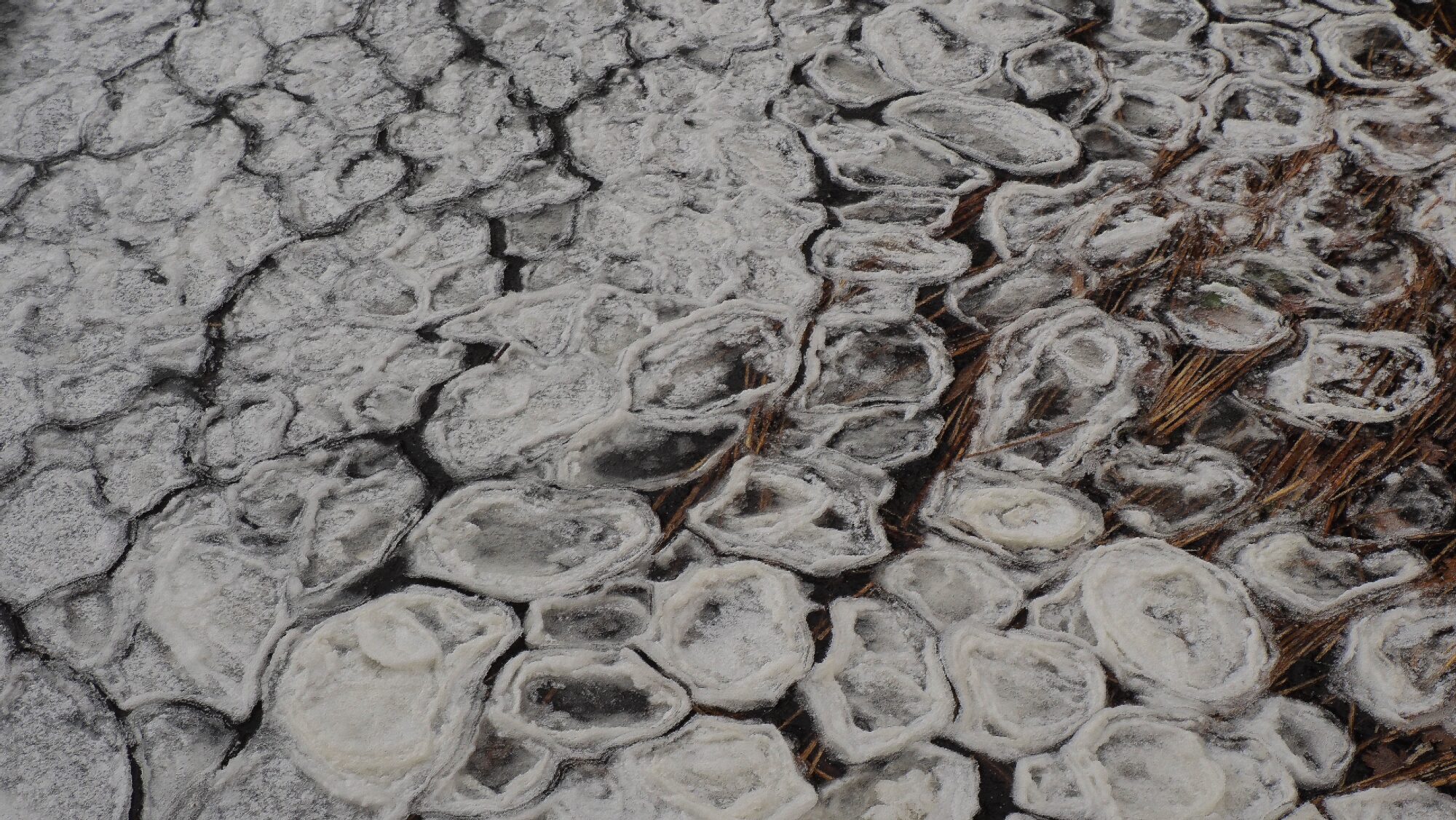 Valokuvaaja: Arja Valtonen