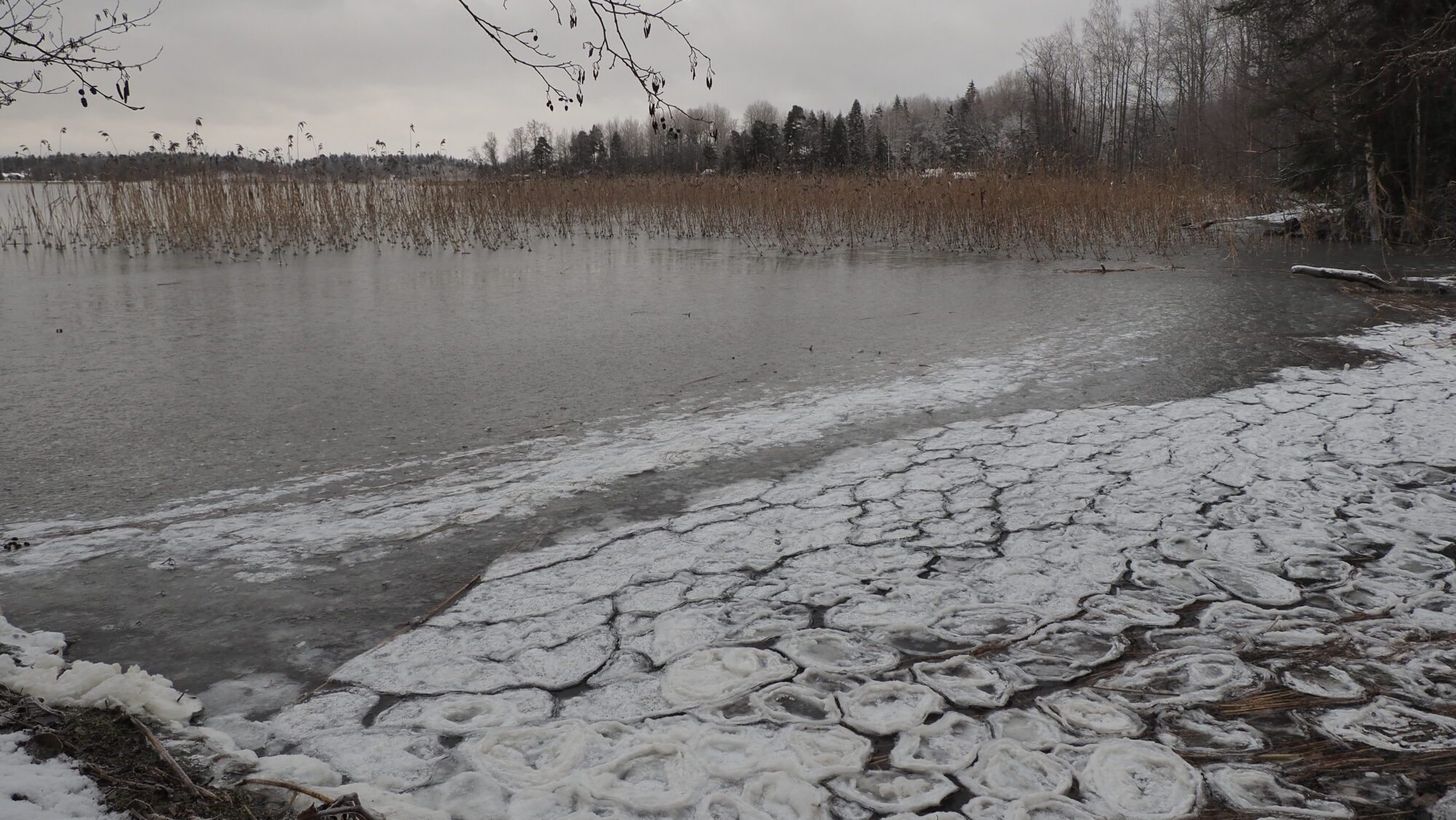 Valokuvaaja: Arja Valtonen