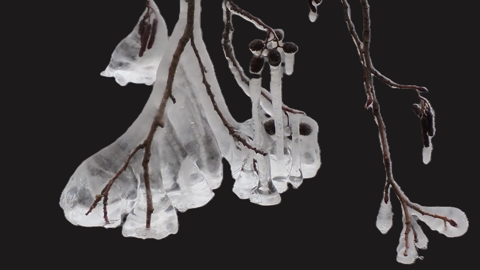 Valokuvaaja: Arja Valtonen