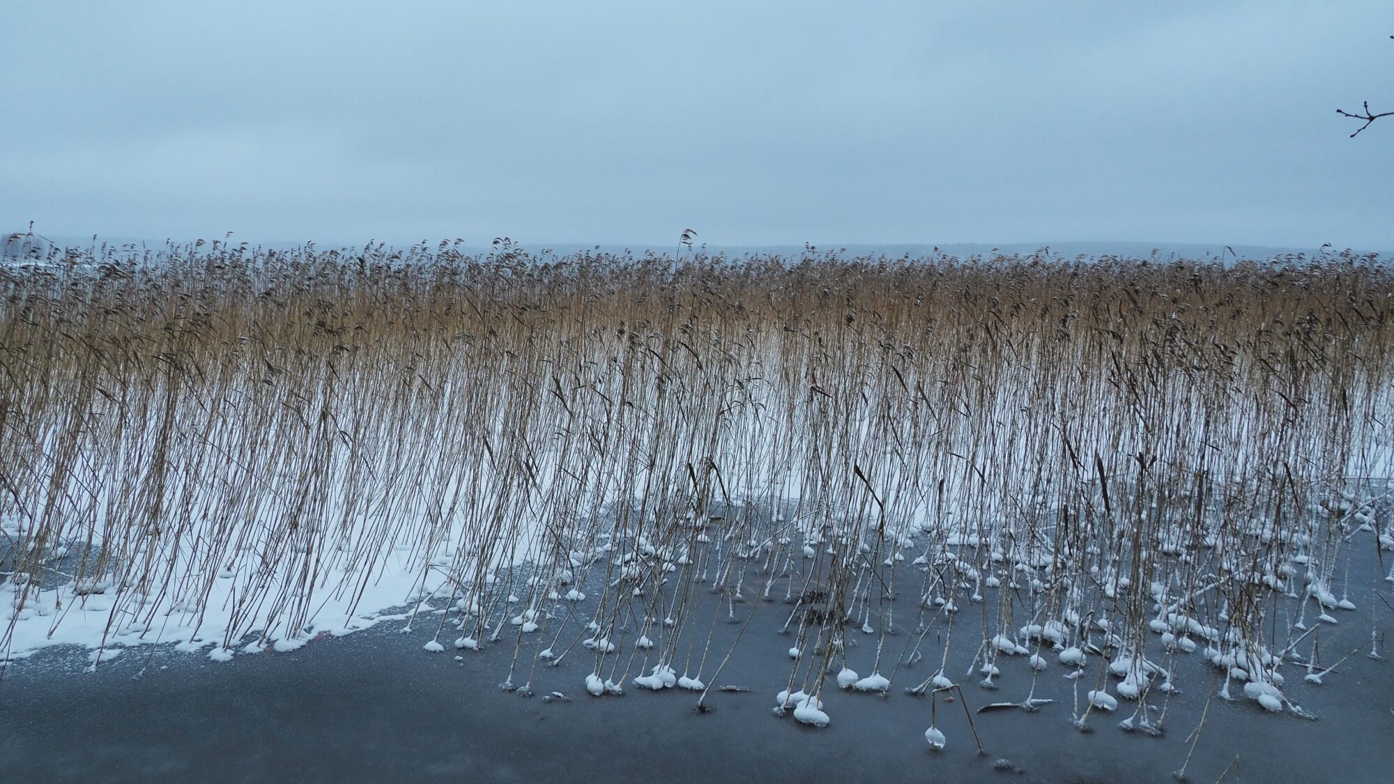 Valokuvaaja: Martti Valtonen