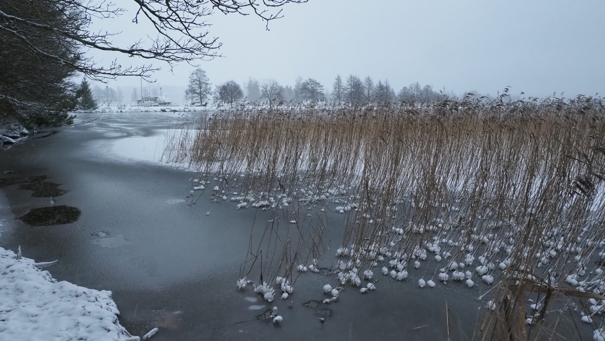 Valokuvaaja: Arja Valtonen
