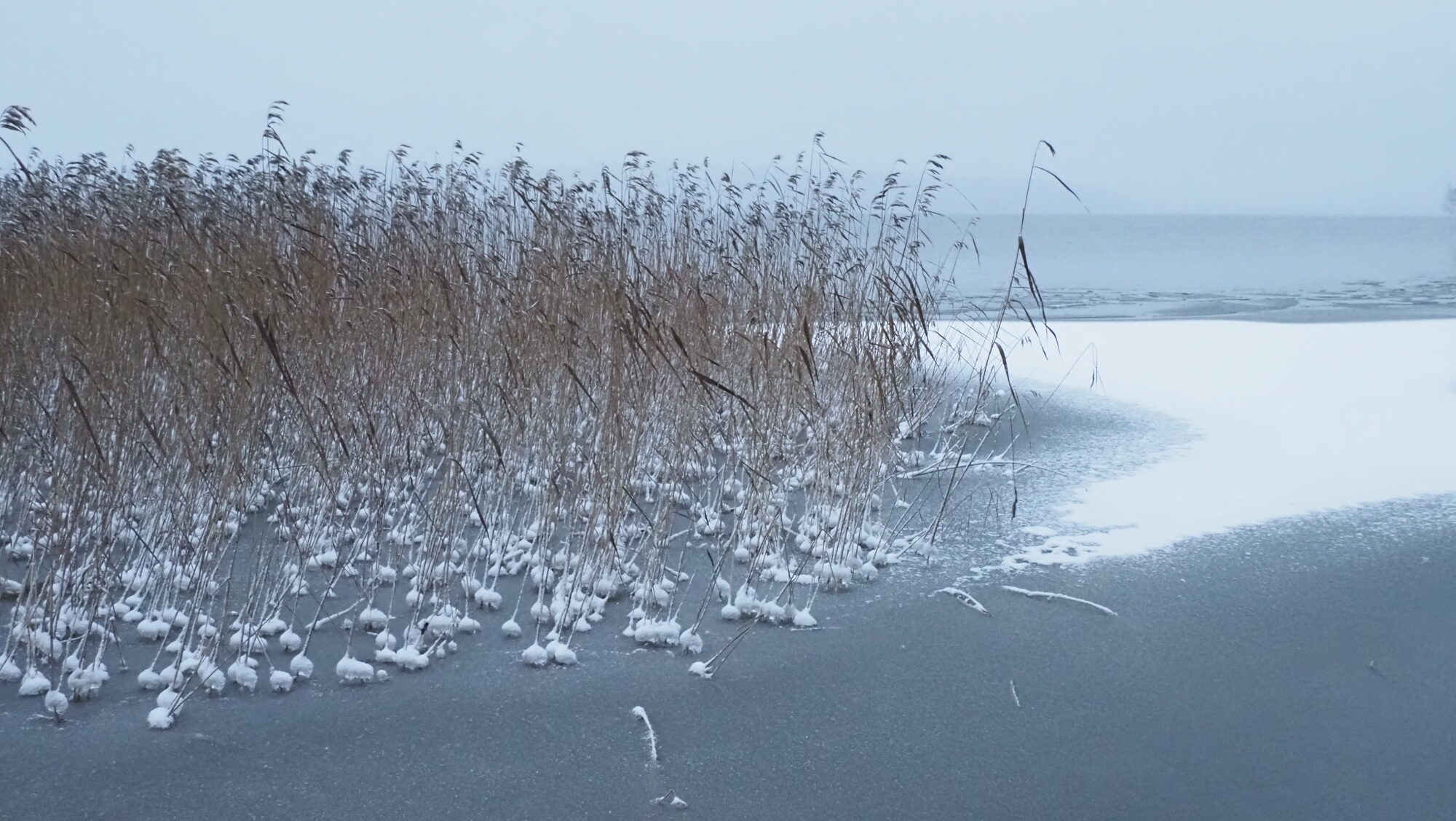 Valokuvaaja: Arja Valtonen Valokuvaaja: Arja Valtonen