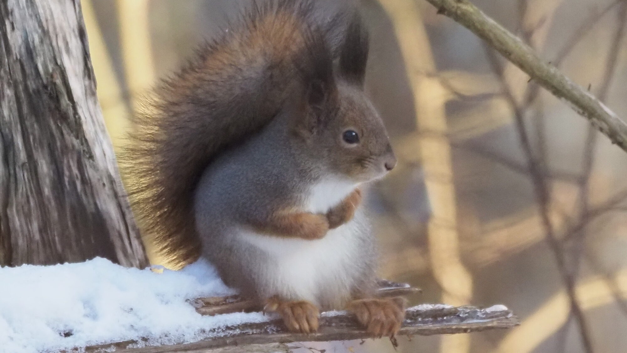 Valokuvaaja: Arja Valtonen