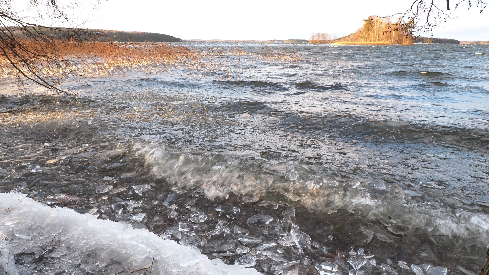 Valokuvaaja: Arja Valtonen