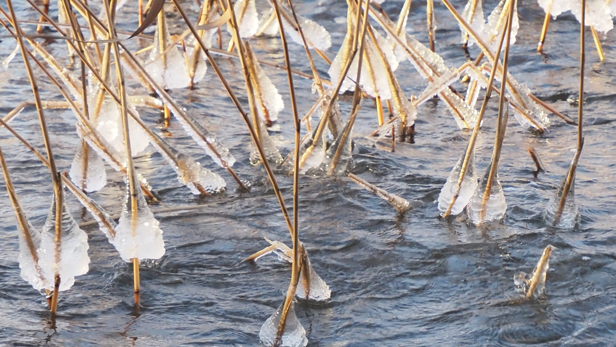 Valokuvaaja: Arja Valtonen