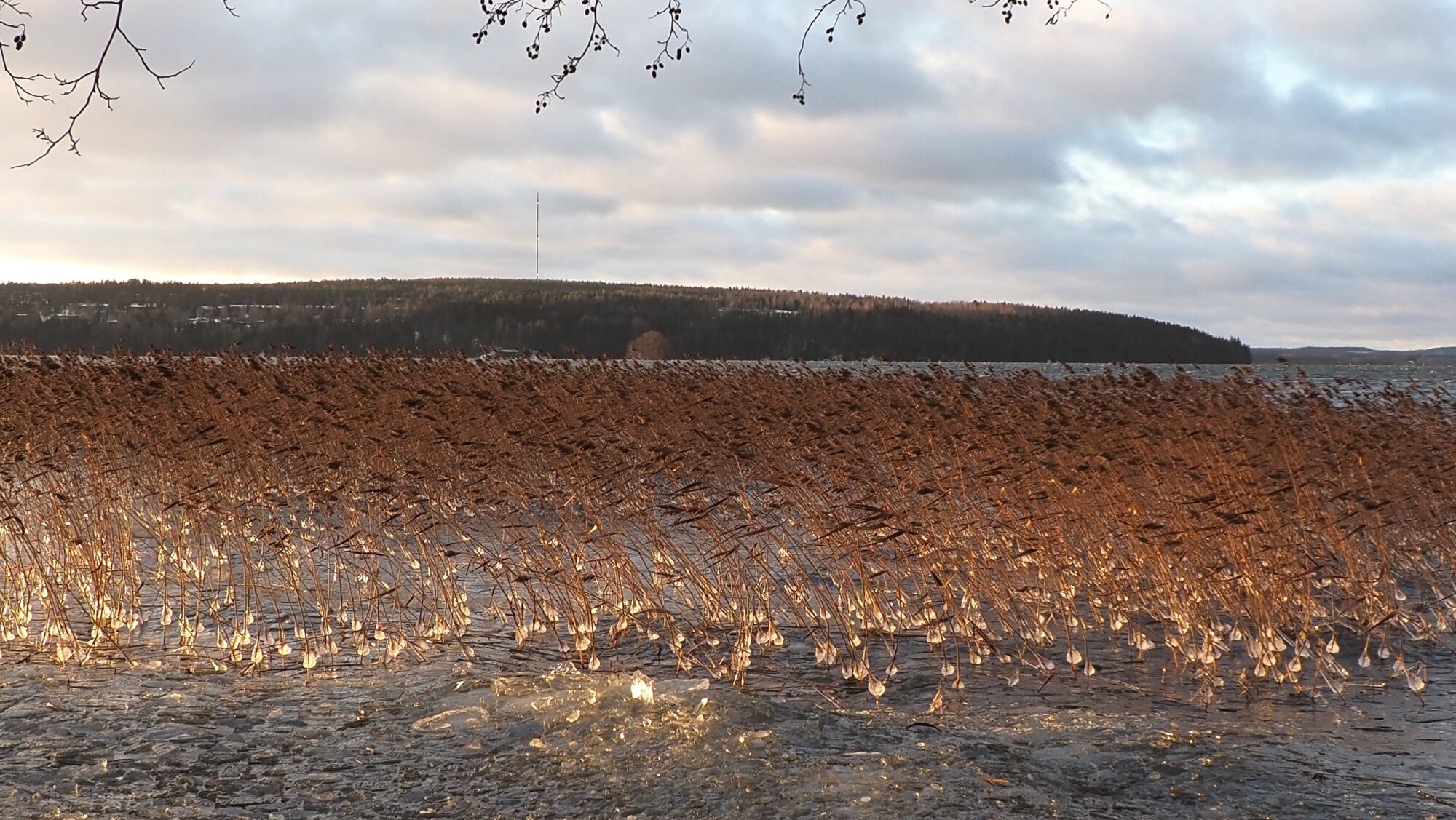Valokuvaaja: Arja Valtonen Valokuvaaja: Arja Valtonen