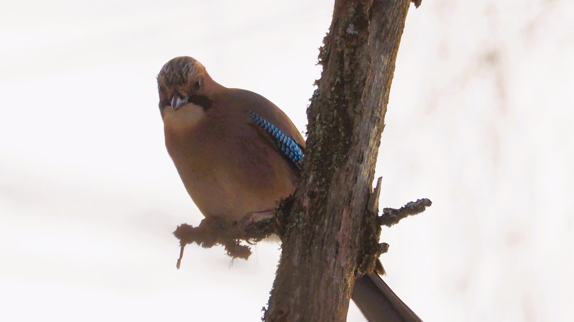 Valokuvaaja: Martti Valtonen