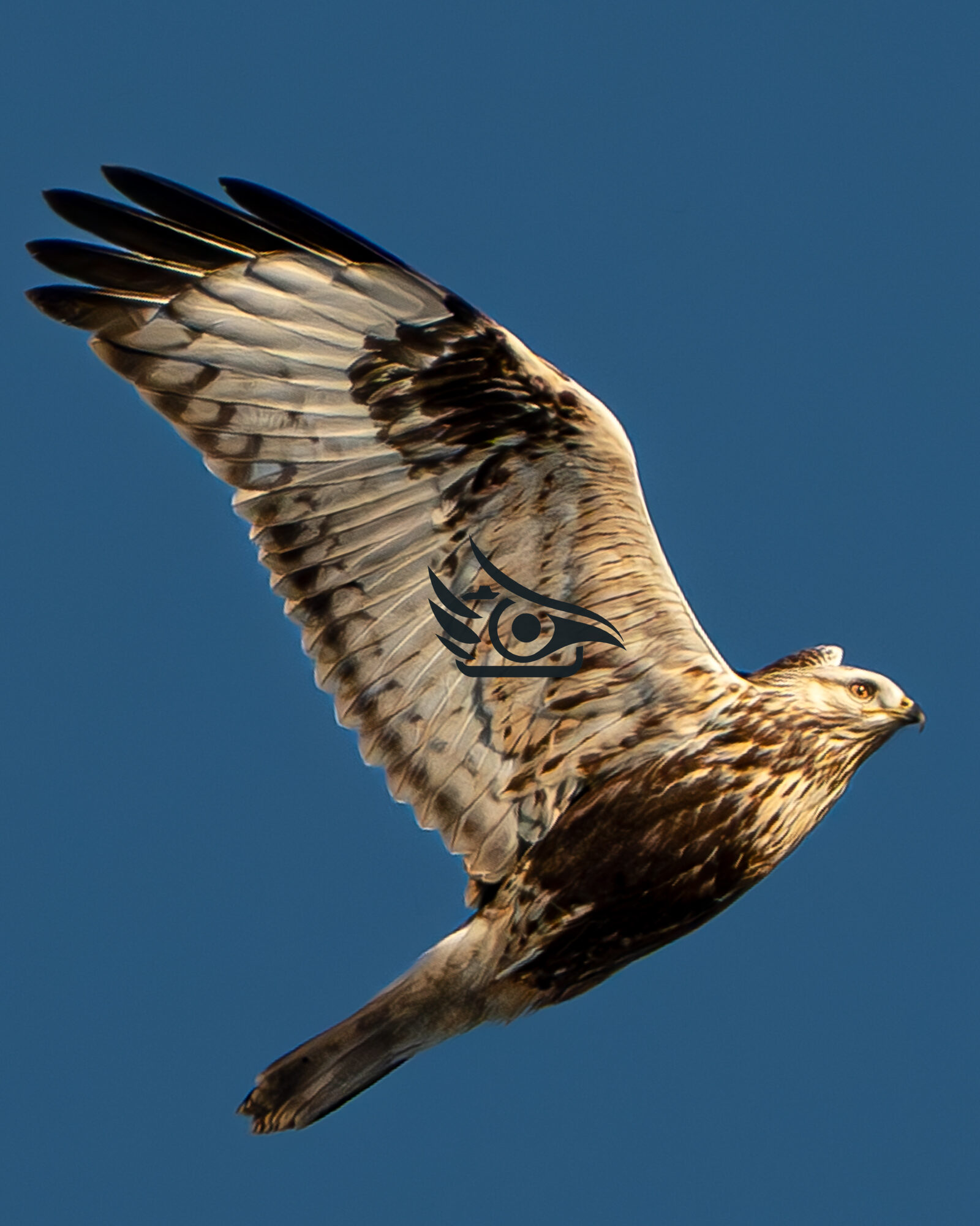 Valokuvaaja: Milla Rannila