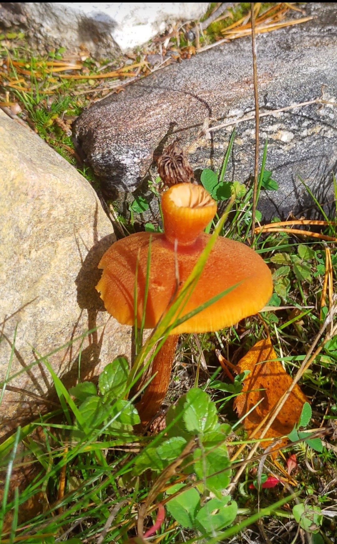 Valokuvaaja: Markku Kekäläinen