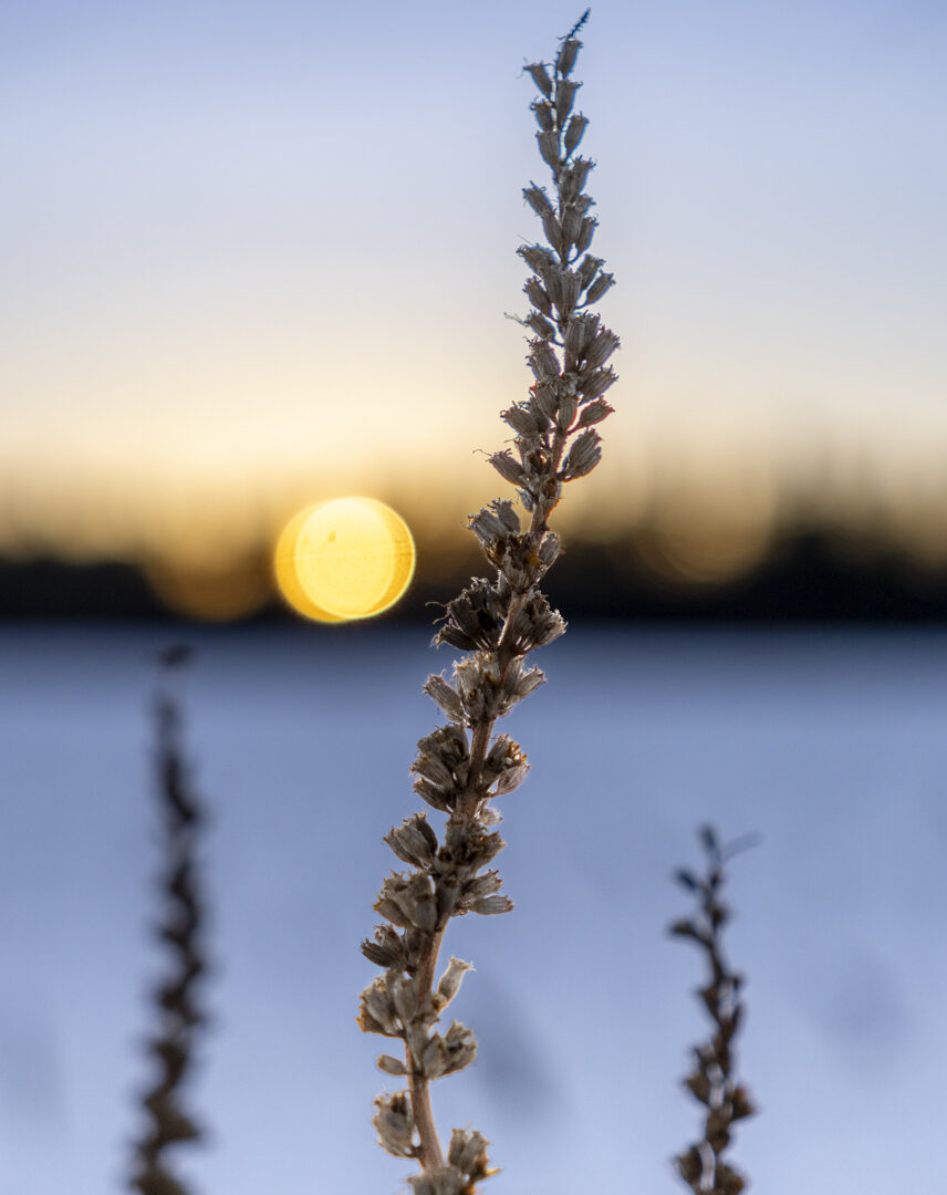 Valokuvaaja: Hannu Tikkanen Valokuvaaja: Hannu Tikkanen