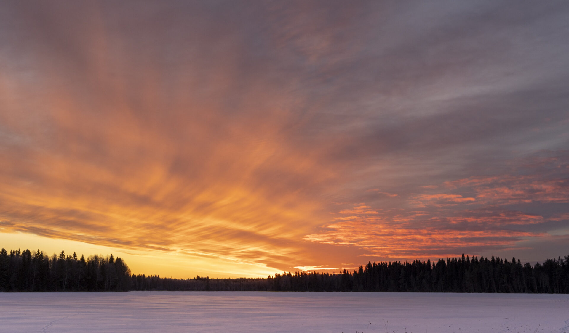 Valokuvaaja: Hannu Tikkanen